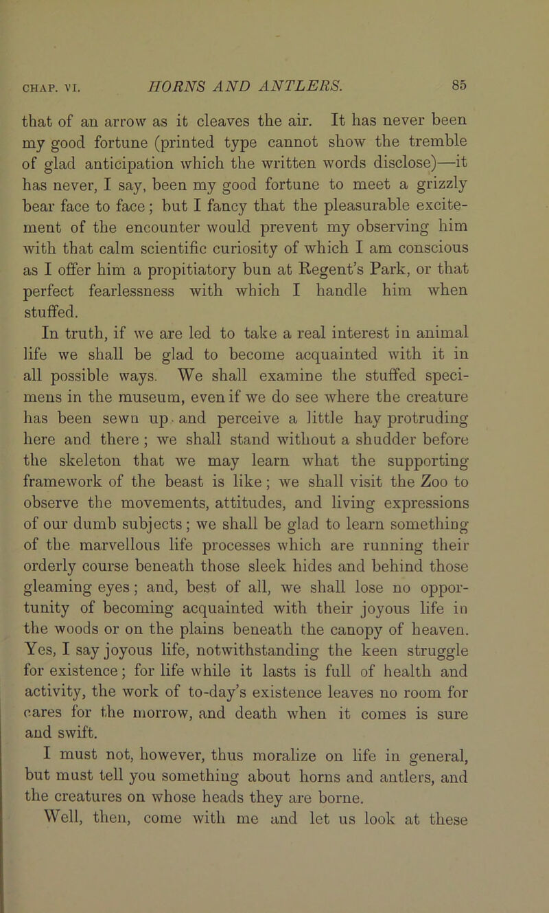 that of an arrow as it cleaves the air. It has never been my good fortune (printed type cannot show the tremble of glad anticipation which the written words disclose)—it has never, I say, been my good fortune to meet a grizzly bear face to face; but I fancy that the pleasurable excite- ment of the encounter would prevent my observing him with that calm scientific curiosity of which I am conscious as I offer him a propitiatory bun at Regent’s Park, or that perfect fearlessness with which I handle him when stuffed. In truth, if we are led to take a real interest in animal life we shall be glad to become acquainted with it in all possible ways. We shall examine the stuffed speci- mens in the museum, even if we do see where the creature has been sewn up and perceive a little hay protruding here and there; we shall stand without a shudder before the skeleton that we may learn what the supporting framework of the beast is like; we shall visit the Zoo to observe the movements, attitudes, and living expressions of our dumb subjects ; we shall be glad to learn something of the marvellous life processes which are running their orderly course beneath those sleek hides and behind those gleaming eyes; and, best of all, we shall lose no oppor- tunity of becoming acquainted with their joyous life in the woods or on the plains beneath the canopy of heaven. Yes, I say joyous life, notwithstanding the keen struggle for existence; for life while it lasts is full of health and activity, the work of to-day’s existence leaves no room for cares for the morrow, and death when it comes is sure and swift. I must not, however, thus moralize on life in general, but must tell you something about horns and antlers, and the creatures on whose heads they are borne. Well, then, come with me and let us look at these