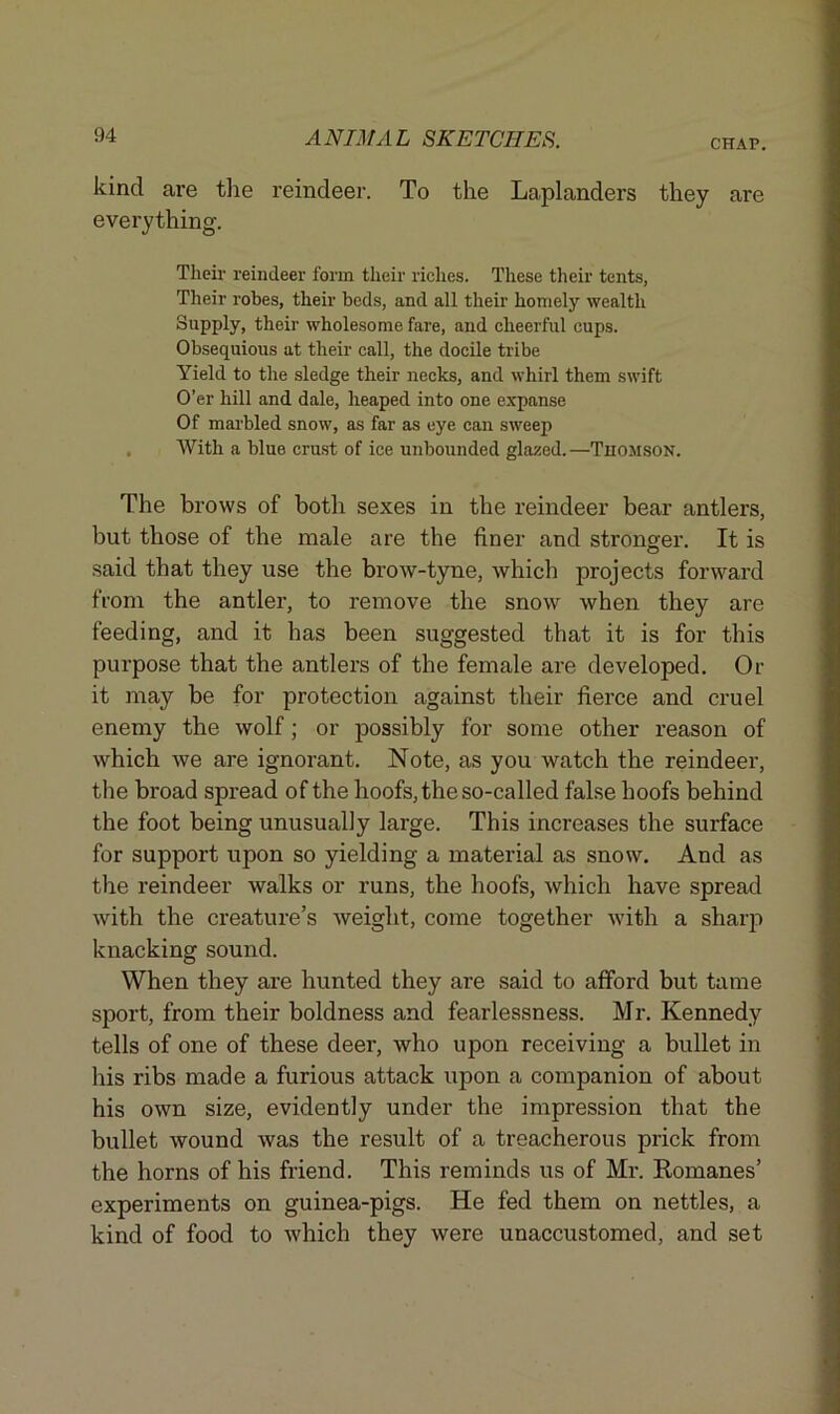 CHAP. kind are the reindeer. To the Laplanders they are everything. Tlieir reindeer form their riches. These their tents, Their robes, their beds, and all their homely wealth Supply, their wholesome fare, and cheerful cups. Obsequious at their call, the docile tribe Yield to the sledge their necks, and whirl them swift O’er hill and dale, heaped into one expanse Of marbled snow, as far as eye can sweep With a blue crust of ice unbounded glazed. —Thomson. The brows of both sexes in the reindeer bear antlers, but those of the male are the finer and stronger. It is said that they use the brow-tyne, which projects forward from the antler, to remove the snow when they are feeding, and it has been suggested that it is for this purpose that the antlers of the female are developed. Or it may be for protection against their fierce and cruel enemy the wolf; or possibly for some other reason of which we are ignorant. Note, as you watch the reindeer, the broad spread of the hoofs, the so-called false hoofs behind the foot being unusually large. This increases the surface for support upon so yielding a material as snow. And as the reindeer walks or runs, the hoofs, which have spread with the creature’s weight, come together with a sharp knacking sound. When they are hunted they are said to afford but tame sport, from their boldness and fearlessness. Mr. Kennedy tells of one of these deer, who upon receiving a bullet in his ribs made a furious attack upon a companion of about his own size, evidently under the impression that the bullet wound was the result of a treacherous prick from the horns of his friend. This reminds us of Mr. Romanes’ experiments on guinea-pigs. He fed them on nettles, a kind of food to which they were unaccustomed, and set