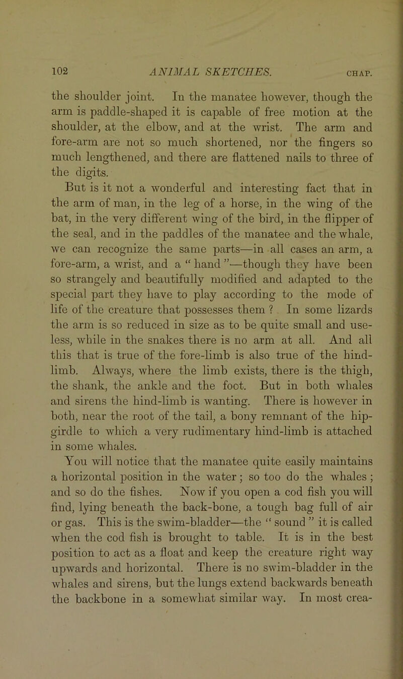 the shoulder joint. In the manatee however, though the arm is paddle-shaped it is capable of free motion at the shoulder, at the elbow, and at the wrist. The arm and fore-arm are not so much shortened, nor the fingers so much lengthened, and there are flattened nails to three of the digits. But is it not a wonderful and interesting fact that in the arm of man, in the leg of a horse, in the wing of the bat, in the very different wing of the bird, in the flipper of the seal, and in the paddles of the manatee and the whale, we can recognize the same parts—in all cases an arm, a fore-arm, a wrist, and a “ hand ”•—though they have been so strangely and beautifully modified and adapted to the special part they have to play according to the mode of life of the creature that possesses them ? In some lizards the arm is so reduced in size as to be quite small and use- less, while in the snakes there is no arm at all. And all this that is true of the fore-limb is also true of the hind- limb. Always, where the limb exists, there is the thigh, the shank, the ankle and the foot. But in both whales and sirens the hind-limb is wanting. There is however in both, near the root of the tail, a bony remnant of the hip- girdle to which a very rudimentary hind-limb is attached in some whales. You will notice that the manatee quite easily maintains a horizontal position in the water; so too do the whales ; and so do the fishes. Now if you open a cod fish you will find, lying beneath the back-bone, a tough bag full of air or gas. This is the swim-bladder—the “ sound ” it is called when the cod fish is brought to table. It is in the best position to act as a float and keep the creature right way upwards and horizontal. There is no swim-bladder in the whales and sirens, but the lungs extend backwards beneath the backbone in a somewhat similar way. In most crea-