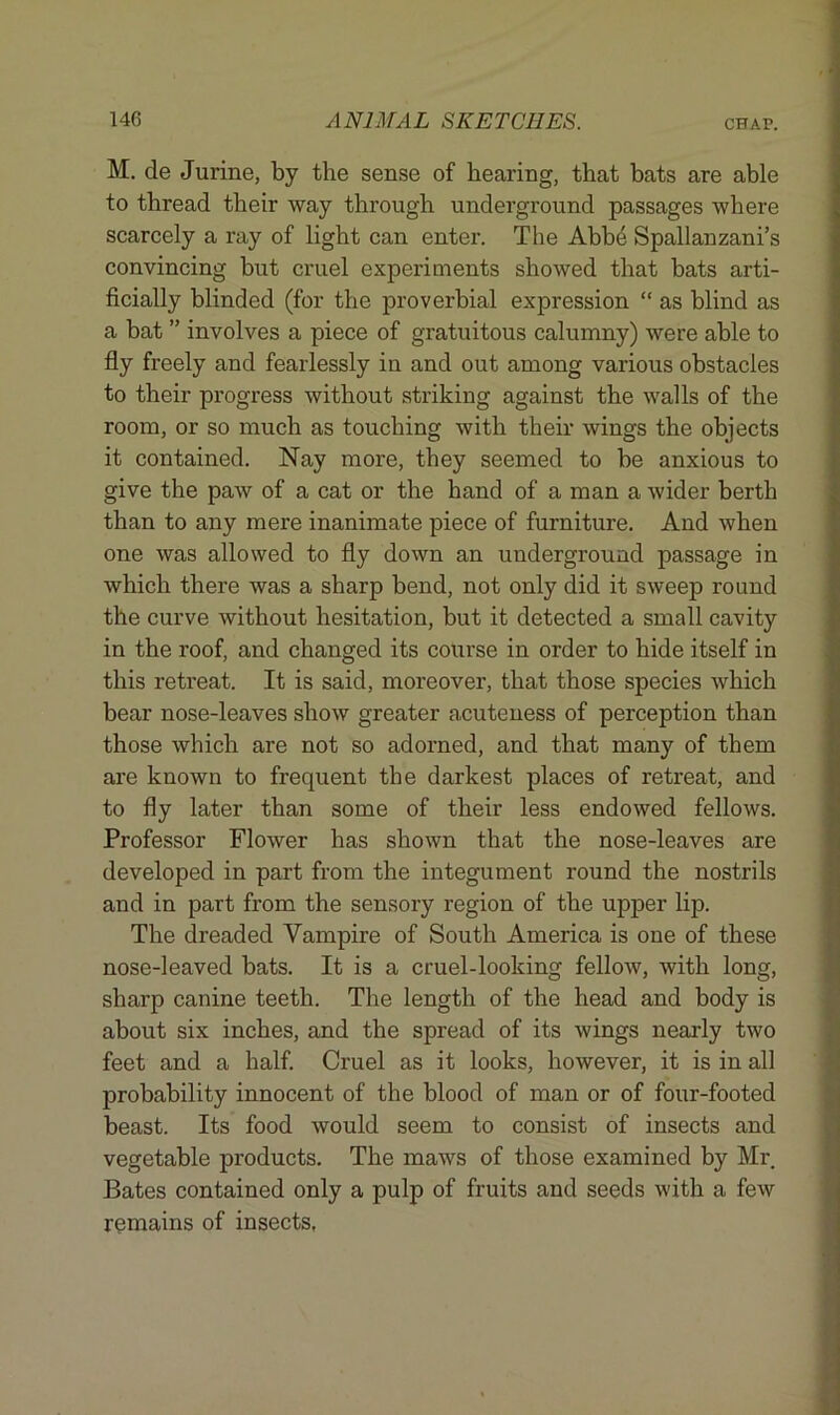 M. de Jurine, by the sense of hearing, that bats are able to thread their way through underground passages where scarcely a ray of light can enter. The Abbe Spallanzani’s convincing but cruel experiments showed that bats arti- ficially blinded (for the proverbial expression “ as blind as a bat ” involves a piece of gratuitous calumny) were able to fly freely and fearlessly in and out among various obstacles to their progress without striking against the walls of the room, or so much as touching with their wings the objects it contained. Nay more, they seemed to be anxious to give the paw of a cat or the hand of a man a wider berth than to any mere inanimate piece of furniture. And when one was allowed to fly down an underground passage in which there was a sharp bend, not only did it sweep round the curve without hesitation, but it detected a small cavity in the roof, and changed its course in order to hide itself in this retreat. It is said, moreover, that those species which bear nose-leaves show greater acuteness of perception than those which are not so adorned, and that many of them are known to frequent the darkest places of retreat, and to fly later than some of their less endowed fellows. Professor Flower has shown that the nose-leaves are developed in part from the integument round the nostrils and in part from the sensory region of the upper lip. The dreaded Vampire of South America is one of these nose-leaved bats. It is a cruel-looking fellow, with long, sharp canine teeth. The length of the head and body is about six inches, and the spread of its wings nearly two feet and a half. Cruel as it looks, however, it is in all probability innocent of the blood of man or of four-footed beast. Its food would seem to consist of insects and vegetable products. The maws of those examined by Mr Bates contained only a pulp of fruits and seeds with a few remains of insects,