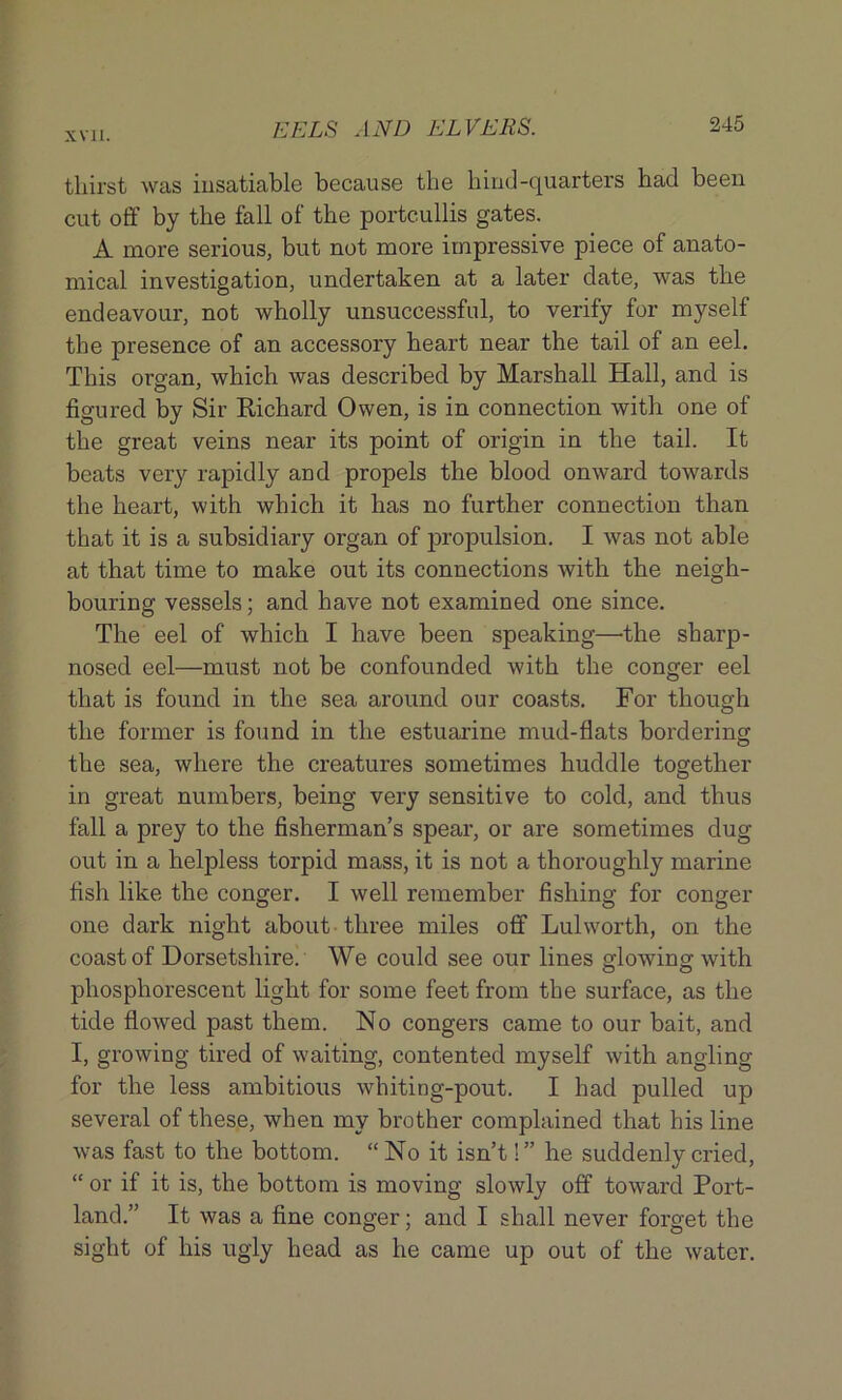 thirst was insatiable because the hind-quarters had been cut off by the fall of the portcullis gates. A more serious, but not more impressive piece of anato- mical investigation, undertaken at a later date, was the endeavour, not wholly unsuccessful, to verify for myself the presence of an accessory heart near the tail of an eel. This organ, which was described by Marshall Hall, and is figured by Sir Richard Owen, is in connection with one of the great veins near its point of origin in the tail. It beats very rapidly and propels the blood onward towards the heart, with which it has no further connection than that it is a subsidiary organ of propulsion. I was not able at that time to make out its connections with the neigh- bouring vessels; and have not examined one since. The eel of which I have been speaking—'the sharp- nosed eel—must not be confounded with the conger eel that is found in the sea around our coasts. For though the former is found in the estuarine mud-flats bordering the sea, where the creatures sometimes huddle together in great numbers, being very sensitive to cold, and thus fall a prey to the fisherman’s spear, or are sometimes dug out in a helpless torpid mass, it is not a thoroughly marine fish like the conger. I well remember fishing for conger one dark night about three miles off Lulworth, on the coast of Dorsetshire. We could see our lines glowing with phosphorescent light for some feet from the surface, as the tide flowed past them. No congers came to our bait, and I, growing tired of waiting, contented myself with angling for the less ambitious whiting-pout. I had pulled up several of these, when my brother complained that his line was fast to the bottom. “No it isn’t!” he suddenly cried, “ or if it is, the bottom is moving slowly off toward Port- land.” It was a fine conger; and I shall never forget the sight of his ugly head as he came up out of the water.