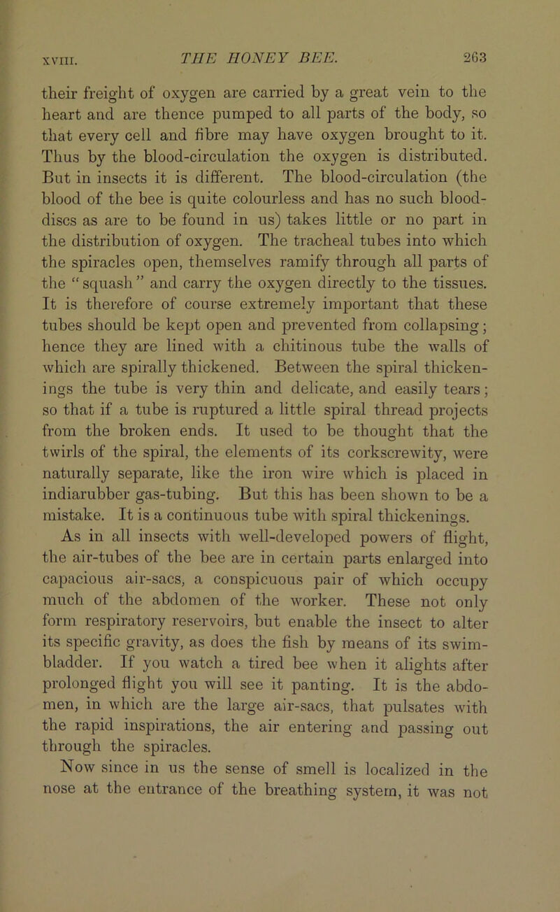 their freight of oxygen are carried by a great vein to the heart and are thence pumped to all parts of the body, so that every cell and fibre may have oxygen brought to it. Thus by the blood-circulation the oxygen is distributed. But in insects it is different. The blood-circulation (the blood of the bee is quite colourless and has no such blood- discs as are to be found in us) takes little or no part in the distribution of oxygen. The tracheal tubes into which the spiracles open, themselves ramify through all parts of the “ squash ” and carry the oxygen directly to the tissues. It is therefore of course extremely important that these tubes should be kept open and prevented from collapsing; hence they are lined with a chitinous tube the walls of which are spirally thickened. Between the spiral thicken- ings the tube is very thin and delicate, and easily tears; so that if a tube is ruptured a little spiral thread projects from the broken ends. It used to be thought that the twirls of the spiral, the elements of its corkscrewity, were naturally separate, like the iron wire which is placed in indiarubber gas-tubing. But this has been shown to be a mistake. It is a continuous tube with spiral thickenings. As in all insects with well-developed powers of flight, the air-tubes of the bee are in certain parts enlarged into capacious air-sacs, a conspicuous pair of which occupy much of the abdomen of the worker. These not only form respiratory reservoirs, but enable the insect to alter its specific gravity, as does the fish by means of its swim- bladder. If you watch a tired bee when it alights after prolonged flight you will see it panting. It is the abdo- men, in which are the large air-sacs, that pulsates with the rapid inspirations, the air entering and passing out through the spiracles. Now since in us the sense of smell is localized in the nose at the entrance of the breathing system, it was not