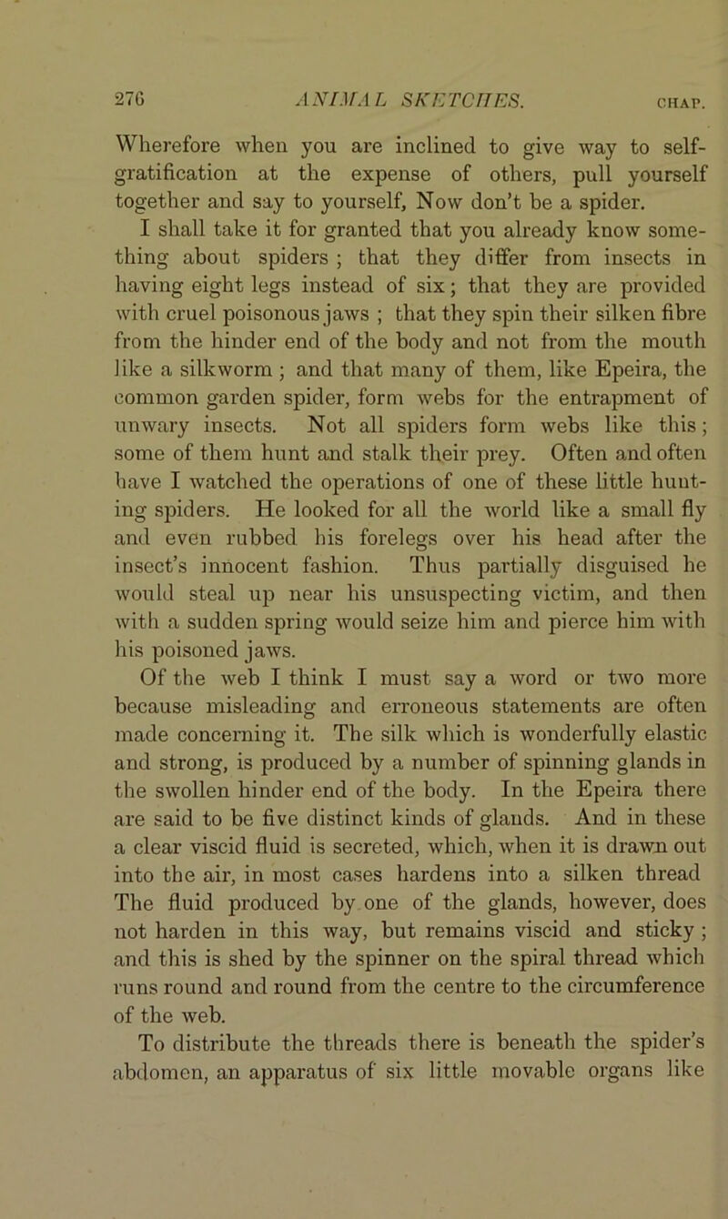 Wherefore when you are inclined to give way to self- gratification at the expense of others, pull yourself together and say to yourself. Now don’t be a spider. I shall take it for granted that you already know some- thing about spiders ; that they differ from insects in having eight legs instead of six; that they are provided with cruel poisonous jaws ; that they spin their silken fibre from the hinder end of the body and not from the mouth 1 ike a silkworm ; and that many of them, like Epeira, the common garden spider, form webs for the entrapment of unwary insects. Not all spiders form webs like this; some of them hunt and stalk their prey. Often and often have I watched the operations of one of these little hunt- ing spiders. He looked for all the world like a small fly and even rubbed his forelegs over his head after the insect’s innocent fashion. Thus partially disguised he would steal up near his unsuspecting victim, and then with a sudden spring would seize him and pierce him with his poisoned jaws. Of the web I think I must say a word or two more because misleading and erroneous statements are often made concerning it. The silk which is wonderfully elastic and strong, is produced by a number of spinning glands in the swollen hinder end of the body. In the Epeira there are said to be five distinct kinds of glands. And in these a clear viscid fluid is secreted, which, when it is drawn out into the air, in most cases hardens into a silken thread The fluid produced by one of the glands, however, does not harden in this way, but remains viscid and sticky ; and this is shed by the spinner on the spiral thread which runs round and round from the centre to the circumference of the web. To distribute the threads there is beneath the spider’s abdomen, an apparatus of six little movable organs like