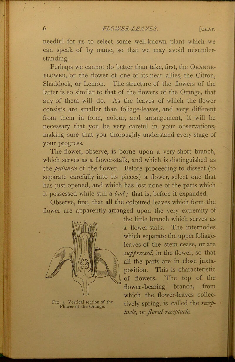 needful for us to select some well-known plant which we can speak of by name, so that we may avoid misunder- standing. Perhaps we cannot do better than take, first, the Orange- flower, or the flower of one of its near allies, the Citron, Shaddock, or Lemon. The structure of the flowers of the latter is so similar to that of the flowers of the Orange, that any of them will do. As the leaves of which the flower consists are smaller than foliage-leaves, and very different from them in form, colour, and arrangement, it will be necessary that you be very careful in your observations, making sure that you thoroughly understand every stage of your progress. The flower, observe, is borne upon a very short branch, which serves as a flower-stalk, and which is distinguished as the peduncle of the flower. Before proceeding to dissect (to separate carefully into its pieces) a flower, select one that has just opened, and which has lost none of the parts which it possessed while still a bud; that is, before it expanded, Observe, first, that all the coloured leaves which form the flower are apparently arranged upon the very extremity of the little branch which serves as a flower-stalk. The internodes which separate the upper foliage- leaves of the stem cease, or are suppressed, in the flower, so that of flowers. The top of the flower-bearing branch, from which the flower-leaves collec- tively spring, is called the recep- tacle, or floral receptacle. Fig. 3. Vertical section of the Flower of the Orange.