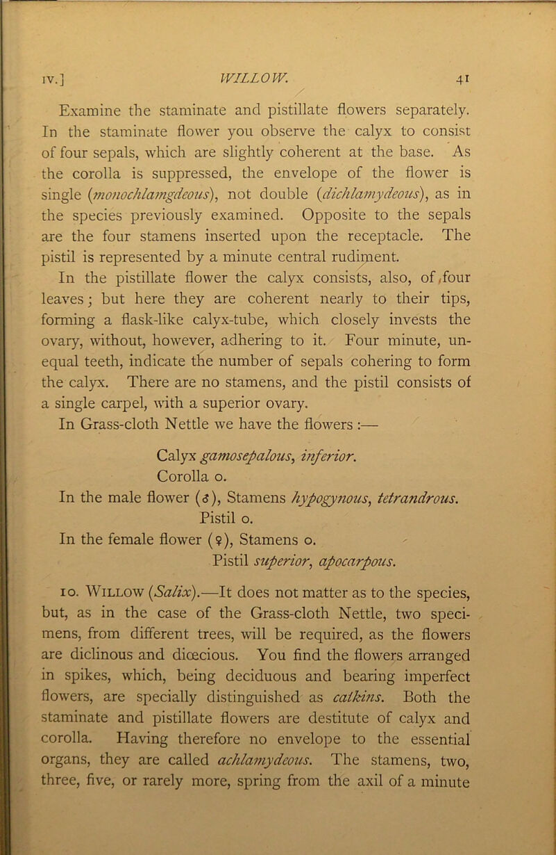 / Examine the staminate and pistillate flowers separately. In the staminate flower you observe the calyx to consist of four sepals, which are slightly coherent at the base. As the corolla is suppressed, the envelope of the flower is single ('mojiochlamgdcous), not double idichlamydeous), as in the species previously examined. Opposite to the sepals are the four stamens inserted upon the receptacle. The pistil is represented by a minute central rudiment. In the pistillate flower the calyx consists, also, of ,four leaves; but here they are coherent nearly to their tips, forming a flask-like calyx-tube, which closely invests the ovary, without, however, adhering to it. Four minute, un- equal teeth, indicate the number of sepals cohering to form the calyx. There are no stamens, and the pistil consists of a single carpel, with a superior ovary. In Grass-cloth Nettle we have the flowers :— Calyx gamosepalous, inferior. Corolla o. In the male flower (<j), Stamens hypogynous, tetrajidrous. Pistil o. In the female flower (9), Stamens o. Pistil superior, apocarpous. 10. Willow (Salix).—It does not matter as to the species, but, as in the case of the Grass-cloth Nettle, two speci- mens, from different trees, will be required, as the flowers are diclinous and dicecious. You find the flowers arranged in spikes, which, being deciduous and bearing imperfect flowers, are specially distinguished as cailtins. Both the staminate and pistillate flowers are destitute of calyx and corolla. Plaving therefore no envelope to the essential organs, they are called achlamydcous. The stamens, two, three, five, or rarely more, spring from the axil of a minute