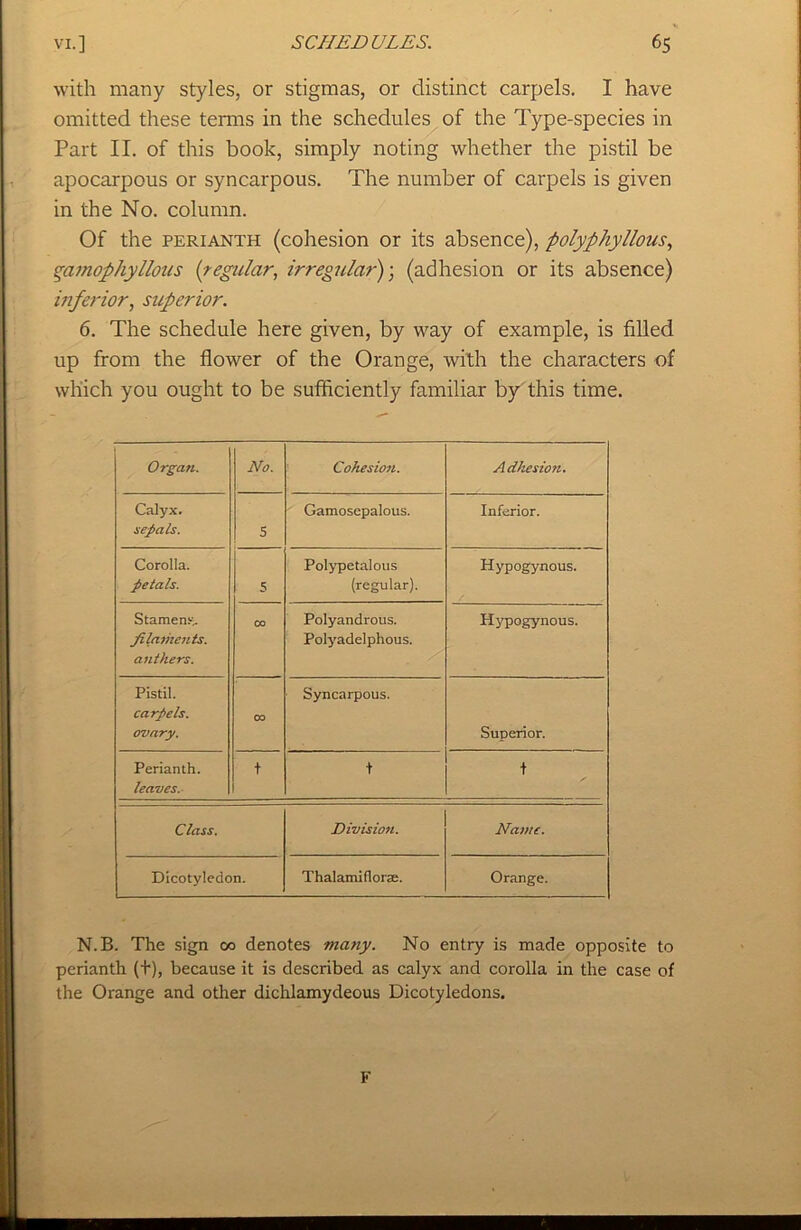 with many styles, or stigmas, or distinct carpels. I have omitted these terms in the schedules of the Type-species in Part II. of this book, simply noting whether the pistil be apocarpous or syncarpous. The number of carpels is given in the No. column. Of the perianth (cohesion or its absence), polyphyllous, gamophy lions (regular, irregular); (adhesion or its absence) inferior, superior. 6. The schedule here given, by way of example, is filled up from the flower of the Orange, with the characters of which you ought to be sufficiently familiar by this time. Orga?i. No. Cohesion. Adhesion. Calyx. sepals. 5 Gamosepalous. Inferior. Corolla. petals. 5 Polypetal ous (regular). Hypogynous. Stamens. filaments. anthers. CO Polyandrous. Polyadelphous. Hypogynous. Pistil. carpels. ovary. 00 Syncarpous. Superior. Perianth. leaves. t t t Class. Division. Name. Dicotyledon. Thalami florae. Orange. N.B. The sign co denotes matiy. No entry is made opposite to perianth (+), because it is described as calyx and corolla in the case of the Orange and other dichlamydeous Dicotyledons. F