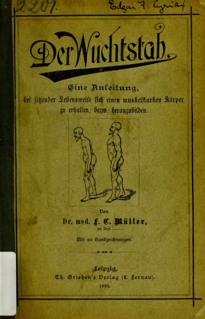 ^itte JlnCeiftmg, ßei ft|cn&cr Jcßcttsweife ftcß diteit musßefHarfidn 31t ermatten, 6^31», §«-att3ußlt6cn. üon Dr. med. C pr. iirst. mit 60 £^anb3ei(^nungen. oJetPäig. tEtj. (Sricben’s Pcriag (£. 5^rnau). 1893,