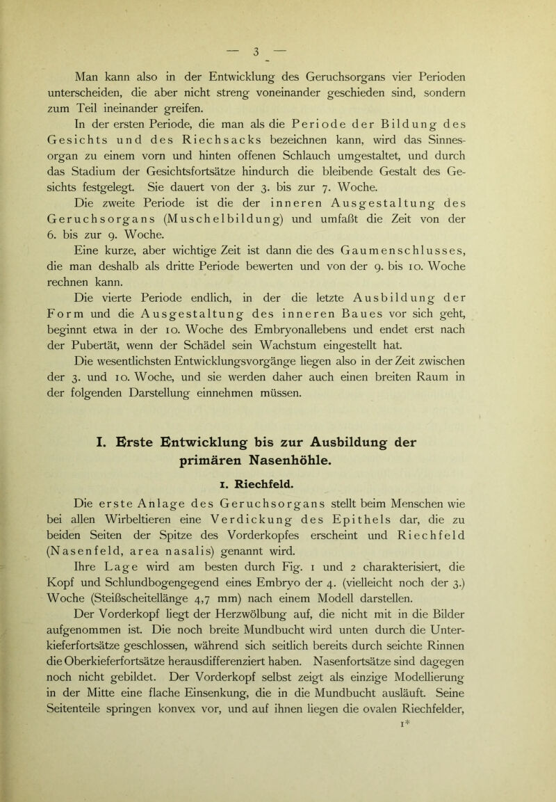 Man kann also in der Entwicklung des Geruchsorgans vier Perioden unterscheiden, die aber nicht streng voneinander geschieden sind, sondern zum Teil ineinander greifen. In der ersten Periode, die man als die Periode der Bildung des Gesichts und des Riechsacks bezeichnen kann, wird das Sinnes- organ zu einem vorn und hinten offenen Schlauch umgestaltet, und durch das Stadium der Gesichtsfortsätze hindurch die bleibende Gestalt des Ge- sichts festgelegt. Sie dauert von der 3. bis zur 7. Woche. Die zweite Periode ist die der inneren Ausgestaltung des Geruchsorgans (Muschelbildung) und umfaßt die Zeit von der 6. bis zur 9. Woche. Eine kurze, aber wichtige Zeit ist dann die des Gaumenschlusses, die man deshalb als dritte Periode bewerten und von der 9. bis 10. Woche rechnen kann. Die vierte Periode endlich, in der die letzte Ausbildung der Form und die Ausgestaltung des inneren Baues vor sich geht, beginnt etwa in der 10. Woche des Embryonallebens und endet erst nach der Pubertät, wenn der Schädel sein Wachstum eingestellt hat. Die wesentlichsten Entwicklungsvorgänge liegen also in der Zeit zwischen der 3. und 10. Woche, und sie werden daher auch einen breiten Raum in der folgenden Darstellung einnehmen müssen. I. Erste Entwicklung bis zur Ausbildung der primären Nasenhöhle. 1. Riechfeld. Die erste Anlage des Geruchsorgans stellt beim Menschen wie bei allen Wirbeltieren eine Verdickung des Epithels dar, die zu beiden Seiten der Spitze des Vorderkopfes erscheint und Ri ec h fei d (Nasenfeld, area nasalis) genannt wird. Ihre Lage wird am besten durch Fig. 1 und 2 charakterisiert, die Kopf und Schlundbogengegend eines Embryo der 4. (vielleicht noch der 3.) Woche (Steißscheitellänge 4,7 mm) nach einem Modell darstellen. Der Vorderkopf liegt der Herzwölbung auf, die nicht mit in die Bilder aufgenommen ist. Die noch breite Mundbucht wird unten durch die Unter- kieferfortsätze geschlossen, während sich seitlich bereits durch seichte Rinnen die Oberkieferfortsätze herausdifferenziert haben. Nasenfortsätze sind dagegen noch nicht gebildet. Der Vorderkopf selbst zeigt als einzige Modellierung in der Mitte eine flache Einsenkung, die in die Mundbucht ausläuft. Seine Seitenteile springen konvex vor, und auf ihnen liegen die ovalen Riechfelder, 1*