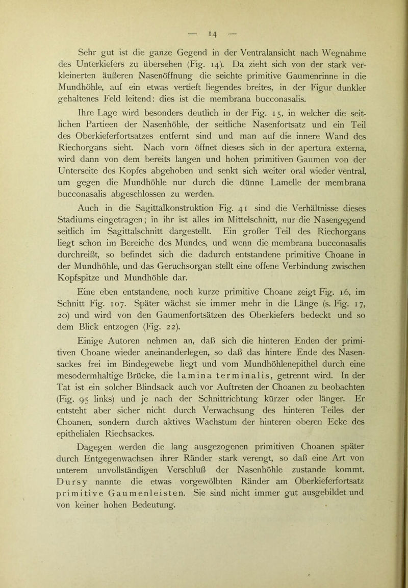 T4 Sehr gut ist die ganze Gegend in der Ventralansicht nach Wegnahme des Unterkiefers zu übersehen (Fig. 14). Da zieht sich von der stark ver- kleinerten äußeren Nasenöffnung die seichte primitive Gaumenrinne in die Mundhöhle, auf ein etwas vertieft liegendes breites, in der Figur dunkler gehaltenes Feld leitend: dies ist die membrana bucconasalis. Ihre Lage wird besonders deutlich in der Fig. 15, in welcher die seit- lichen Parti een der Nasenhöhle, der seitliche Nasenfortsatz und ein Teil des Oberkieferfortsatzes entfernt sind und man auf die innere Wand des Riechorgans sieht. Nach vorn öffnet dieses sich in der apertura externa, wird dann von dem bereits langen und hohen primitiven Gaumen von der Unterseite des Kopfes abgehoben und senkt sich weiter oral wieder ventral, um gegen die Mundhöhle nur durch die dünne Lamelle der membrana bucconasalis abgeschlossen zu werden. Auch in die Sagittalkonstruktion Fig. 41 sind die Verhältnisse dieses Stadiums eingetragen; in ihr ist alles im Mittelschnitt, nur die Nasengegend seitlich im Sagittalschnitt dargestellt. Ein großer Teil des Riechorgans liegt schon im Bereiche des Mundes, und wenn die membrana bucconasalis durchreißt, so befindet sich die dadurch entstandene primitive Choane in der Mundhöhle, und das Geruchsorgan stellt eine offene Verbindung zwischen Kopfspitze und Mundhöhle dar. Eine eben entstandene, noch kurze primitive Choane zeigt Fig. 16, im Schnitt Fig. 107. Später wächst sie immer mehr in die Länge (s. Fig. 17, 20) und wird von den Gaumenfortsätzen des Oberkiefers bedeckt und so dem Blick entzogen (Fig. 22). Einige Autoren nehmen an, daß sich die hinteren Enden der primi- tiven Choane wieder aneinanderlegen, so daß das hintere Ende des Nasen- sackes frei im Bindegewebe liegt und vom Mundhöhlenepithel durch eine mesodermhaltige Brücke, die lamina terminalis, getrennt wird. Inder Tat ist ein solcher Blindsack auch vor Auftreten der Choanen zu beobachten (Fig. 95 links) und je nach der Schnittrichtung kürzer oder länger. Er entsteht aber sicher nicht durch Verwachsung des hinteren Teiles der Choanen, sondern durch aktives Wachstum der hinteren oberen Ecke des epithelialen Riechsackes. Dagegen werden die lang ausgezogenen primitiven Choanen später durch Entgegenwachsen ihrer Ränder stark verengt, so daß eine Art von unterem unvollständigen Verschluß der Nasenhöhle zustande kommt. Dursy nannte die etwas vorgewölbten Ränder am Oberkieferfortsatz primitive Gaumenleisten. Sie sind nicht immer gut ausgebildet und von keiner hohen Bedeutung.