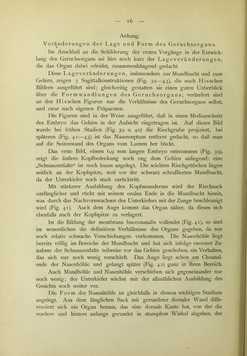 Anhang. Veränderungen der Lage und Form des Geruchsorgans. Im Anschluß an die Schilderung der ersten Vorgänge in der Entwick- lung des Geruchsorgans sei hier noch kurz der Lageveränderungen, die das Organ dabei erleidet, zusammenhängend gedacht. Diese Lage Veränderungen, insbesondere zur Mundbucht und zum Gehirn, zeigen 5 Sagittalkonstruktionen (Fig. 39—43), die nach Idisschen Bildern ausgeführt sind; gleichzeitig gestatten sie einen guten Ueberblick über die Formwandlungen des Geruchsorgans; verändert sind an den Hisschen Figuren nur die Verhältnisse des Geruchsorgans selbst, und zwar nach eigenen Präparaten. Die Figuren sind in der Weise ausgeführt, daß in einen Medianschnitt des Embryo das Gehirn in der Aufsicht eingetragen ist. Auf dieses Bild wurde bei frühen Stadien (Fig. 39 u. 40) die Riechgrube projiziert, bei späteren (Fig. 41—43) ist das Nasenseptum entfernt gedacht, so daß man auf die Seitenwand des Organs vom Lumen her blickt. Das erste Bild, einem 6,9 mm langen Embryo entnommen (Fig. 39), zeigt die äußere Kopfbedeckung noch eng dem Gehirn anliegend: eine „Schnauzenfalte“ ist noch kaum angelegt. Die seichten Riechgrübchen liegen seitlich an der Kopfspitze, weit vor der schwarz schraffierten Mundbucht, da der Unterkiefer noch stark zurücktritt. Mit stärkerer Ausbildung des Kopfmesoderms wird der Riechsack umfänglicher und rückt mit seinem oralen Ende in die Mundbucht hinein, was durch das Nachvornwachsen des Unterkiefers mit der Zunge beschleunigt wird (Fig. 41). Auch dem Auge kommt das Organ näher, da dieses sich ebenfalls nach der Kopfspitze zu verlagert. Ist die Bildung der membrana bucconasalis vollendet (Fig. 41), so sind im wesentlichen die definitiven Verhältnisse des Organs gegeben, da nur noch relativ schwache Verschiebungen Vorkommen. Die Nasenhöhle liegt bereits völlig im Bereiche der Mundbucht und hat sich infolge enormer Zu- nahme der Schnauzenfalte teilweise vor das Gehirn geschoben, ein Verhalten, das sich nur noch wenig verschärft. Das Auge liegt schon am Choanal- ende der Nasenhöhle und gelangt später (Fig. 42) ganz in ihren Bereich. Auch Mundhöhle und Nasenhöhle verschieben sich gegeneinander nur noch wenig; der Unterkiefer wächst mit der allmählichen Ausbildung des Gesichts noch weiter vor. Die Form der Nasenhöhle ist gleichfalls in diesem wichtigen Stadium angelegt. Aus dem länglichen Sack mit gerundeter dorsaler Wand diffe- renziert sich ein Organ heraus, das eine dorsale Kante hat, von der die vordere und hintere anfangs gerundet in stumpfem Winkel abgehen, der