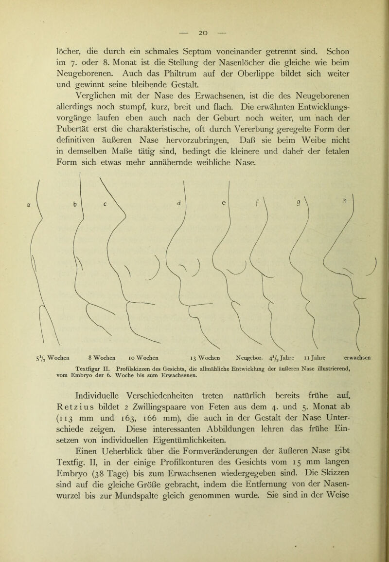 löcher, die durch ein schmales Septum voneinander getrennt sind. Schon im 7. oder 8. Monat ist die Stellung der Nasenlöcher die gleiche wie beim Neugeborenen. Auch das Philtrum auf der Oberlippe bildet sich weiter und gewinnt seine bleibende Gestalt. Verglichen mit der Nase des Erwachsenen, ist die des Neugeborenen allerdings noch stumpf, kurz, breit und flach. Die erwähnten Entwicklungs- vorgänge laufen eben auch nach der Geburt noch weiter, um nach der Pubertät erst die charakteristische, oft durch Vererbung geregelte Form der definitiven äußeren Nase hervorzubringen. Daß sie beim Weibe nicht in demselben Maße tätig sind, bedingt die kleinere und daher der fetalen Form sich etwas mehr annähernde weibliche Nase. Textfigur II. Profilskizzen des Gesichts, die allmähliche Entwicklung der äußeren Nase illustrierend, vom Embryo der 6. Woche bis zum Erwachsenen. Individuelle Verschiedenheiten treten natürlich bereits frühe auf. Retz ius bildet 2 Zwillingspaare von Feten aus dem 4. und 5. Monat ab (113 mm und 163, 166 mm), die auch in der Gestalt der Nase Unter- schiede zeigen. Diese interessanten Abbildungen lehren das frühe Ein- setzen von individuellen Eigentümlichkeiten. Einen Ueberblick über die Form Veränderungen der äußeren Nase gibt Textfig. II, in der einige Profilkonturen des Gesichts vom 15 mm langen Embryo (38 Tage) bis zum Erwachsenen wiedergegeben sind. Die Skizzen sind auf die gleiche Größe gebracht, indem die Entfernung von der Nasen- wurzel bis zur Mundspalte gleich genommen wurde. Sie sind in der Weise a 51/* Wochen 8 Wochen io Wochen 13 Wochen Neugebor. 4^ Jahre 11 Jahre erwachsen