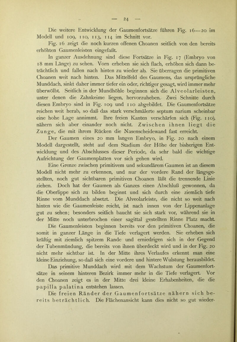 Die weitere Entwicklung der Gaumenfortsätze führen Fig. 16—20 im Modell und 109, 110, 113, 114 im Schnitt vor. Fig. 16 zeigt die noch kurzen offenen Choanen seitlich von den bereits erhöhten Gaumenleisten eingefaßt. In ganzer Ausdehnung sind diese Fortsätze in Fig. 17 (Embryo von 18 mm Fänge) zu sehen. Vorn erheben sie sich flach, erhöhen sich dann be- trächtlich und fallen nach hinten zu wieder ab. Sie überragen die primitiven Choanen weit nach hinten. Das Mittelfeld des Gaumens, das ursprüngliche Munddach, sinkt daher immer tiefer ein oder, richtiger gesagt, wird immer mehr überwölbt. Seitlich in der Mundhöhle beginnen sich die Alveolarleisten, unter denen die Zahnkeime liegen, hervorzuheben. Zwei Schnitte durch diesen Embryo sind in Fig. T09 und 110 abgebildet. Die Gaumenfortsätze reichen weit herab, so daß das stark verschmälerte septum narium scheinbar eine hohe Fage annimmt. Ihre freien Kanten verschärfen sich (Fig. 110), nähern sich aber einander noch nicht. Zwischen ihnen liegt die Zunge, die mit ihrem Rücken die Nasenscheidewand fast erreicht. Der Gaumen eines 20 mm langen Embryo, in Fig. 20 nach einem Modell dargestellt, steht auf dem Stadium der Höhe der bisherigen Ent- wicklung und des Abschlusses dieser Periode, da sehr bald die wichtige Aufrichtung der Gaumenplatten vor sich gehen wird. Eine Grenze zwischen primitivem und sekundärem Gaumen ist an diesem Modell nicht mehr zu erkennen, und nur der vordere Rand der längsge- stellten, noch gut sichtbaren primitiven Choanen läßt die trennende Linie ziehen. Doch hat der Gaumen als Ganzes einen Abschluß gewonnen, da die Oberlippe sich zu bilden beginnt und sich durch eine ziemlich tiefe Rinne vom Munddach absetzt. Die Alveolarleiste, die nicht so weit nach hinten wie die Gaumenleiste reicht, ist nach innen von der Lippenanlage gut zu sehen; besonders seitlich baucht sie sich stark vor, während sie in der Mitte noch unterbrochen einer sagittal gestellten Rinne Platz macht. Die Gaumenleisten beginnen bereits vor den primitiven Choanen, die somit in ganzer Länge in die Tiefe verlagert werden. Sie erheben sich kräftig mit ziemlich spitzem Rande und erniedrigen sich in der Gegend der Tubenmündung, die bereits von ihnen überdeckt wird und in der Fig. 20 nicht mehr sichtbar ist. In der Mitte ihres Verlaufes erkennt man eine kleine Einziehung, so daß sich eine vordere und hintere Wulstung herausbildet. Das primitive Munddach wird mit dem Wachstum der Gaumenfort- sätze in seinem hinteren Bezirk immer mehr in die Tiefe verlagert. Vor den Choanen zeigt es in der Mitte drei kleine Erhabenheiten, die die papilla palatina entstehen lassen. Die freien Ränder der Gaumenfortsätze nähern sich be- reits beträchtlich. Die Flächenansicht kann dies nicht so gut wieder-