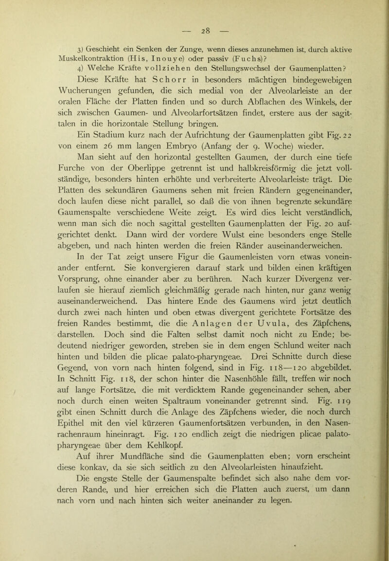 3) Geschieht ein Senken der Zunge, wenn dieses anzunehmen ist, durch aktive Muskelkontraktion (H i s, I n o u y e) oder passiv (Fuchs)? 4) Welche Kräfte vollziehen den Stellungswechsel der Gaumenplatten? Diese Kräfte hat S c h o r r in besonders mächtigen bindegewebigen Wucherungen gefunden, die sich medial von der Alveolarleiste an der oralen Fläche der Platten finden und so durch Abflachen des Winkels, der sich zwischen Gaumen- und Alveolarfortsätzen findet, erstere aus der sagit- talen in die horizontale Stellung bringen. Ein Stadium kurz nach der Aufrichtung der Gaumenplatten gibt Fig. 22 von einem 26 mm langen Embryo (Anfang der 9. Woche) wieder. Man sieht auf den horizontal gestellten Gaumen, der durch eine tiefe Furche von der Oberlippe getrennt ist und halbkreisförmig die jetzt voll- ständige, besonders hinten erhöhte und verbreiterte Alveolarleiste trägt. Die Platten des sekundären Gaumens sehen mit freien Rändern gegeneinander, doch laufen diese nicht parallel, so daß die von ihnen begrenzte sekundäre Gaumenspalte verschiedene Weite zeigt. Es wird dies leicht verständlich, wenn man sich die noch sagittal gestellten Gaumenplatten der Fig. 20 auf- gerichtet denkt. Dann wird der vordere Wulst eine besonders enge Stelle abgeben, und nach hinten werden die freien Ränder auseinanderweichen. In der Tat zeigt unsere Figur die Gaumenleisten vorn etwas vonein- ander entfernt. Sie konvergieren darauf stark und bilden einen kräftigen Vorsprung, ohne einander aber zu berühren. Nach kurzer Divergenz ver- laufen sie hierauf ziemlich gleichmäßig gerade nach hinten, nur ganz wenig auseinanderweichend. Das hintere Ende des Gaumens wird jetzt deutlich durch zwei nach hinten und oben etwas divergent gerichtete Fortsätze des freien Randes bestimmt, die die Anlagen der Uvula, des Zäpfchens, darstellen. Doch sind die Falten selbst damit noch nicht zu Ende; be- deutend niedriger geworden, streben sie in dem engen Schlund weiter nach hinten und bilden die plicae palato-pharyngeae. Drei Schnitte durch diese Gegend, von vorn nach hinten folgend, sind in Fig. 118—120 abgebildet. In Schnitt Fig. 118, der schon hinter die Nasenhöhle fällt, treffen wir noch auf lange Fortsätze, die mit verdicktem Rande gegeneinander sehen, aber noch durch einen weiten Spaltraum voneinander getrennt sind. Fig. 119 gibt einen Schnitt durch die Anlage des Zäpfchens wieder, die noch durch Epithel mit den viel kürzeren Gaumenfortsätzen verbunden, in den Nasen- rachenraum hineinragt. Fig. 120 endlich zeigt die niedrigen plicae palato- pharyngeae über dem Kehlkopf. Auf ihrer Mundfläche sind die Gaumenplatten eben; vorn erscheint diese konkav, da sie sich seitlich zu den Alveolarleisten hinaufzieht. Die engste Stelle der Gaumenspalte befindet sich also nahe dem vor- deren Rande, und hier erreichen sich die Platten auch zuerst, um dann nach vorn und nach hinten sich weiter aneinander zu legen.