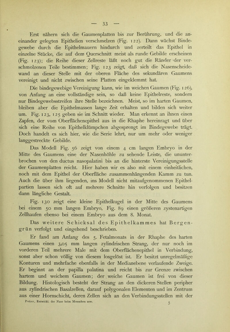 Erst nähern sich die Gaumenplatten bis zur Berührung, und die an- einander gelegten Epithelien verschmelzen (Fig. 122). Dann wächst Binde- gewebe durch die Epithelmauern hindurch und zerteilt das Epithel in einzelne Stücke, die auf dem Querschnitt meist als runde Gebilde erscheinen (Fig. 123); die Reihe dieser Zellreste läßt noch gut die Ränder-der ver- schmolzenen Teile bestimmen; Fig. 123 zeigt, daß sich die Nasenscheide- wand an dieser Stelle mit der oberen Fläche des sekundären Gaumens vereinigt und nicht zwischen seine Platten eingeklemmt hat. Die bindegewebige Vereinigung kann, wie im weichen Gaumen (Fig. 126), von Anfang an eine vollständige sein, so daß keine Epithelreste, sondern nur Bindegewebsstreifen ihre Stelle bezeichnen. Meist, so im harten Gaumen, bleiben aber die Epithelmassen lange Zeit erhalten und bilden sich weiter um. Fig. 123, 125 geben sie im Schnitt wieder. Man erkennt an ihnen einen Zapfen, der vom Oberflächenepithel aus in die Rhaphe hereinragt und über sich eine Reihe von Epithelklümpchen abgesprengt im Bindegewebe trägt. Doch handelt es sich hier, wie die Serie lehrt, nur um mehr oder weniger langgestreckte Gebilde. Das Modell Fig. 56 zeigt von einem 4 cm langen Embryo in der Mitte des Gaumens eine der Nasenhöhle zu sehende Leiste, die ununter- brochen von den ductus nasopalatini bis an die hinterste Vereinigungsstelle der Gaumenplatten reicht. Hier haben wir es also mit einem einheitlichen, noch mit dem Epithel der Oberfläche zusammenhängenden Kamm zu tun. Auch die über ihm liegenden, ins Modell nicht mitaufgenommenen Epithel- partien lassen sich oft auf mehrere Schnitte hin verfolgen und besitzen dann längliche Gestalt. Fig. 130 zeigt eine kleine Epithelkugel in der Mitte des Gaumens bei einem 50 mm langen Embryo, Fig. 89 einen größeren zystenartigen Zellhaufen ebenso bei einem Embryo aus dem 8. Monat. Das weitere Schicksal des Epithelkammes hat Bergen- grün verfolgt und eingehend beschrieben. Er fand am Anfang des 5. Fetalmonats in der Rhaphe des harten Gaumens einen 3,05 mm langen zylindrischen Strang, der nur noch im vorderen Teil mehrere Male mit dem Oberflächenepithel in Verbindung, sonst aber schon völlig von diesem losgelöst ist. Er besitzt unregelmäßige Konturen und mehrfache ebenfalls in der Medianebene verlaufende Zweige. Er beginnt an der papilla palatina und reicht bis zur Grenze zwischen hartem und weichem Gaumen; der weiche Gaumen ist frei von dieser Bildung. Histologisch besteht der Strang an den dickeren Stellen peripher aus zylindrischen Basalzellen, darauf polygonalen Elementen und im Zentrum aus einer Hornschicht, deren Zellen sich an den Verbindungsstellen mit der Peter, Entwickl. der Nase beim Menschen usw. r