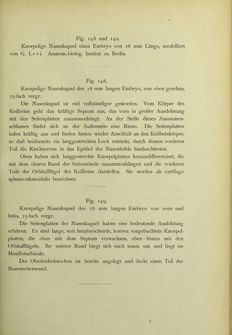 Knorpelige Nasenkapsel eines Embryo von 28 mm Länge, modelliert von G. Levi. Anatom.-biolog. Institut zu Berlin. Fig. 148. Knorpelige Nasenkapsel des 28 mm langen Embryo, von oben gesehen, 25-fach vergr. Die Nasenkapsel ist viel vollständiger geworden. Vom Körper des Keilbeins geht das kräftige Septum aus, das vorn in großer Ausdehnung mit den Seitenplatten zusammenhängt. An der Stelle dieses Zusammen- schlusses findet sich an der Außenseite eine Rinne. Die Seitenplatten laden kräftig aus und finden hinten wieder Anschluß an den Keilbein körper, so daß beiderseits ein langgestrecktes Loch entsteht, durch dessen vorderen Teil die Riechnerven in das Epithel der Nasenhöhle hindurchtreten. Oben haben sich langgestreckte Knorpelplatten herausdifferenziert, die mit dem oberen Rand der Seitenwände Zusammenhängen und die vorderen Teile der Orbitalflügel des Keilbeins darstellen. Sie werden als cartilago spheno-ethmoidalis bezeichnet. Fig. 149. Knorpelige Nasenkapsel des 28 mm langen Embryo von vorn und links, 25-fach vergr. Die Seitenplatten der Nasenkapsel haben eine bedeutende Ausbildung erfahren. Es sind lange, weit herabreichende, konvex vorgebuchtete Knorpel- platten, die oben mit dem Septum verwachsen, oben - hinten mit den Orbitalflügeln. Ihr unterer Rand biegt sich nach innen um und liegt im Maxilloturbinale. Der Oberkieferknochen ist bereits angelegt und deckt einen Teil der N asenseitenwand.