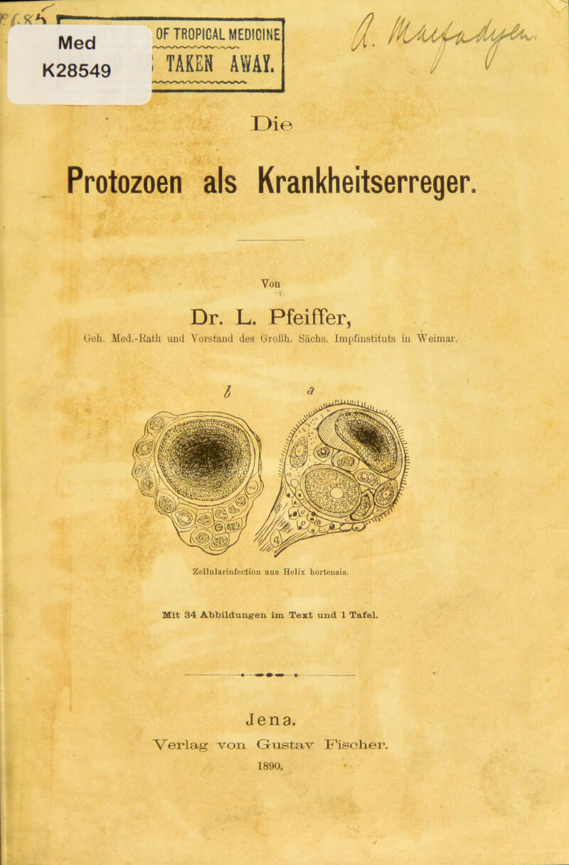 r Med K28549 OFTROPICAL MEDIOINE ; TAREN AWAT. Die Protozoen als Krankheitserreger. Von • f Dr. L. Pfeiffer, Geh. Med.-Rath und Vorstand des Großh. Sachs. Impfinstituts in Weimar. I * Zellularinfection aus Helix hortensis. Mit 34 Abbildungen im Text und 1 Tafel. Jena. Verlag von Gustav Fischer. 1890.