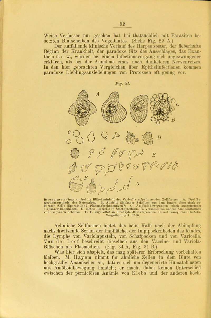 Weise Verfasser nur gesehen hat bei thatsächlich mit Parasiten be- setzten Blutscheiben des Vogelblutes. (Siehe Fig. 22 A.) Der auffallende klinische Verlauf des Herpes zoster, der fieberhafte Beginn der Krankheit, der paradoxe Sitz des Ausschlages, das Exan- them u. s. w., würden bei einem Infectionsvorgang sich ungezwungener erklären, als bei der Annahme eines noch dunkeieren Nervenreizes. In den liier gebrachten Vergleichen über Epithelinfectionen kommen paradoxe Lieblingsausiedelungen von Protozoen oft genug vor. Fig. 31. Bewegungavorgiinge an frei im Bläaelieninhalt der Varicella schwimmenden Zellformen. A. Drei Be- wegungszustiinde des Ectosarkes. B. Austritt diaplianer Scheiben aus dem Innern einer stark ge- körnten Zelle (SporulationV Plasmaabschnürungen?) 0. Amöboidbewegungen frisch ausgetretener diaphaner Scheibchen, ü. Rothe Blutzelle in Stechapfelform. E. Verschiedene andere Auiöboidformen von diaphanen Scheiben. In P. angeheftet an Stechapfel-Blutkörperchen. G. mit beweglichen Geißeln. Vergrößerung 1 : 1500. Aelmliche Zellformen bietet das beim Kalb nach der Abimpfuug nachschwitzende Serum der Impffläche, der Impfpoc.kenbodeu des Kindes, die Lymphe von Variolapusteln, von Schafpocken und von Varicella. Van der Loof beschreibt dieselben aus den Vacciue- und Variola- Bläschen als Plasmodien. (Fig. 34 A, Fig. 31 B.) Was hier sich abspielt, das mag späterer Erforschung Vorbehalten bleiben. M. Hayem nimmt für ähnliche Zellen iu dem Blute von hochgradig Anämischen au, daß es sich um degenerirte Hämatoblasteu mit Amöboidbeweguug handelt; er macht dabei keinen Unterschied zwischen der perniciösen Anämie von Klebs uud der anderen hoch-