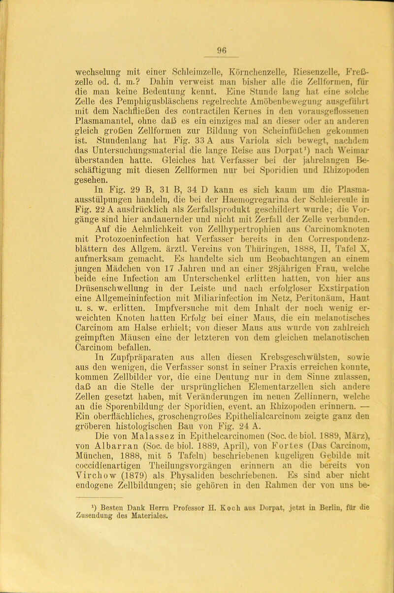 wecbseluiig mit einer Schleimzelle, Körnchenzelle, Riesenzelle, Freß- zelle od. d. m.? Dahin verweist man bisher alle die Zellformen, für die man keine Bedeutung kennt. Eine Stunde lang hat eine solche Zelle des Pemphigusbläschens regelrechte Amöbenbewegung ausgeführt mit dem Nachfließen des contractilen Kernes in den vorausgeflossenen Plasmamantel, ohne daß es ein einziges mal an dieser oder au anderen gleich großen Zellformen zur Bildung von Scheinfüßchen gekommen ist. Stundenlang hat Fig. 33 A aus Variola sich bewegt, nachdem das Untersuchungsmaterial die lange Reise aus Dorpat1) nach Weimar iiberstanden hatte. Gleiches hat Verfasser bei der jahrelangen Be- schäftigung mit diesen Zellformen nur bei Sporidien und Rhizopoden gesehen. In Fig. 29 B, 31 B, 34 D kann es sich kaum um die Plasma- ausstülpungen handeln, die bei der Haemogregarina der Schleiereule in Fig. 22 A ausdrücklich als Zerfallsprodukt geschildert wurde; die Vor- gänge sind hier andauernder und nicht mit Zerfall der Zelle verbunden. Auf die Aehnlichkeit von Zellhypertrophien aus Carcinomknoten mit Protozoeninfection hat Verfasser bereits in den Correspoudenz- blättern des Allgem. ärztl. Vereins von Thüringen, 1888, II, Tafel X, aufmerksam gemacht. Es handelte sich um Beobachtungen an einem jungen Mädchen von 17 Jahren und an einer 28jährigen Frau, welche beide eine Infection am Unterschenkel erlitten hatten, von hier aus Drüsenschwellung in der Leiste und nach erfolgloser Exstirpation eine Allgemeininfection mit Miliarinfection im Netz, Peritonäum, Haut u. s. w. erlitten. Impfversuche mit dem Inhalt der noch wenig er- weichten Knoten hatten Erfolg bei einer Maus, die ein melanotisches Carcinom am Halse erhielt; von dieser Maus aus wurde von zahlreich geimpften Mäusen eine der letzteren von dem gleichen melanotischen Carcinom befallen. In Zupfpräparaten aus allen diesen Krebsgeschwülsten, sowie aus den wenigen, die Verfasser sonst in seiner Praxis erreichen kounte, kommen Zellbilder vor, die eine Deutung nur in dem Sinne zulassen, daß an die Stelle der ursprünglichen Elementarzellen sich andere Zellen gesetzt haben, mit Veränderungen im neuen Zellinneru, welche an die Sporenbildung der Sporidien, event. an Rhizopoden erinnern. — Ein oberflächliches, groschengroßes Epithelialcareinom zeigte ganz den gröberen histologischen Bau von Fig. 24 A. Die von Malassez in Epithelcarcinomen (Soc. debiol. 1889, März), von Albarran (Soc. de biol. 1889, April), von Fortes (Das Carcinom, München, 1888, mit 5 Tafeln) beschriebenen kugeligen Gebilde mit coccidienartigen Theilungsvorgängen erinnern an die bereits vou Virchow (1879) als Physalideu beschriebenen. Es sind aber nicht endogene Zellbildungen; sie gehören in den Rahmen der von uns be- ') Besten Dank Herrn Professor H. Koch aus Dorpat, jetzt in Berlin, für die Zusendung des Materiales.