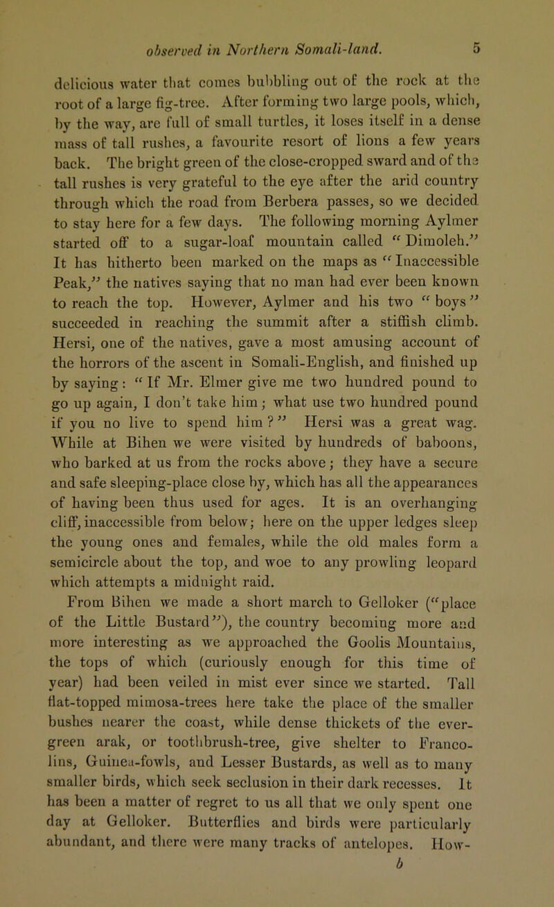 delicious water that comes bubbling out of the rock at the root of a large fig-tree. After forming two large pools, which, by the way, are full of small turtles, it loses itself in a dense mass of tall rushes, a favourite resort of lions a few years back. The bright green of the close-cropped sward and of the tall rushes is very grateful to the eye after the arid country through which the road from Berbera passes, so we decided to stay here for a few days. The following morning Aylmer started off to a sugar-loaf mountain called “ Ditnoleh.” It has hitherto been marked on the maps as “ Inaccessible Peak,” the natives saying that no man had ever been known to reach the top. However, Aylmer and his two “ boys ” succeeded in reaching the summit after a stiffish climb. Hersi, one of the natives, gave a most amusing account of the horrors of the ascent in Somali-English, and finished up by saying: “If Mr. Elmer give me two hundred pound to go up again, I don’t take him; what use two hundred pound if you no live to spend him ? ” Hersi was a great wag. While at Bihen we were visited by hundreds of baboons, who barked at us from the rocks above; they have a secure and safe sleeping-place close by, which has all the appearances of having been thus used for ages. It is an overhanging cliff,inaccessible from below; here on the upper ledges sleep the young ones and females, while the old males form a semicircle about the top, and woe to any prowling leopard which attempts a midnight raid. From Bihen we made a short march to Gelloker (“place of the Little Bustard”), the country becoming more and more interesting as we approached the Goolis Mountains, the tops of which (curiously enough for this time of year) had been veiled in mist ever since we started. Tall Hat-topped mimosa-trees here take the place of the smaller bushes nearer the coast, while dense thickets of the ever- green arak, or toothbrush-tree, give shelter to Franco- lins, Guinea-fowls, and Lesser Bustards, as well as to many smaller birds, which seek seclusion in their dark recesses. It has been a matter of regret to us all that we only spent one day at Gelloker. Butterflies and birds were particularly abundant, and there were many tracks of antelopes. How- b