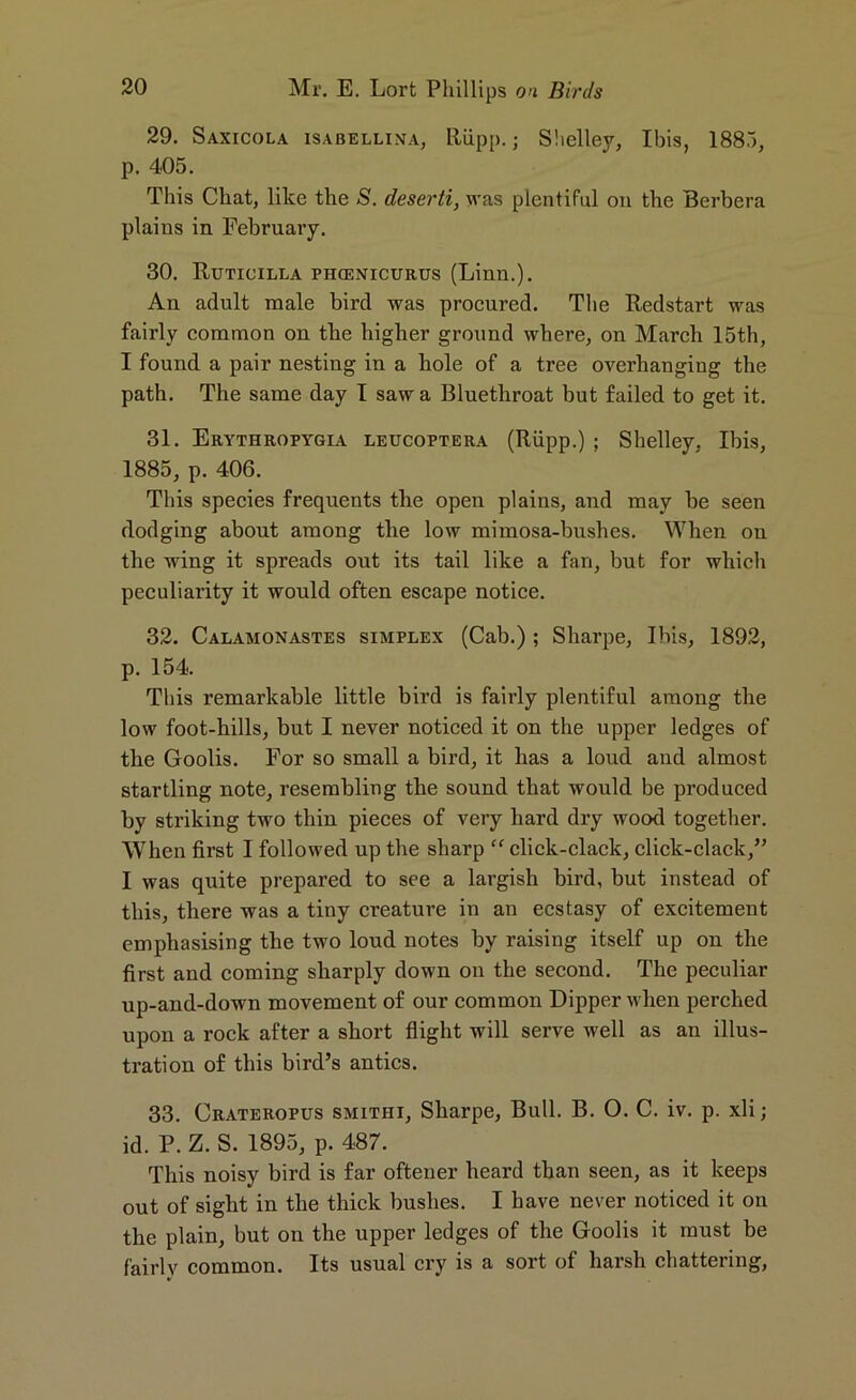 29. Saxicola isabellina, Riipp.; Sliclley, Ibis, 1885, p. 405. This Chat, like the S. deserti, was plentiful on the Berbera plains in February. 30. Ruticilla phcenicurus (Linn.). An adult male bird was procured. The Redstart was fairly common on the higher ground where, on March 15th, I found a pair nesting in a hole of a tree overhanging the path. The same day I saw a Bluethroat but failed to get it. 31. Erythropygia leucoptera (Riipp.) ; Shelley, Ibis, 1885, p. 406. This species frequents the open plains, and may be seen dodging about among the low mimosa-bushes. When on the wing it spreads out its tail like a fan, but for which peculiarity it would often escape notice. 32. Calamonastes simplex (Cab.) ; Sharpe, Ibis, 1892, p. 154. This remarkable little bird is fairly plentiful among the low foot-hills, but I never noticed it on the upper ledges of the Goolis. For so small a bird, it has a loud and almost startling note, resembling the sound that would be produced by striking two thin pieces of very hard dry wood together. When first I followed up the sharp “ click-clack, click-clack,” I was quite prepared to see a largish bird, but instead of this, there was a tiny creature in an ecstasy of excitement emphasising the two loud notes by raising itself up on the first and coming sharply down on the second. The peculiar up-and-down movement of our common Dipper when perched upon a rock after a short flight will serve well as an illus- tration of this bird’s antics. 33. Crateropus smithi, Sharpe, Bull. B. 0. C. iv. p. xli; id. P. Z. S. 1895, p. 487. This noisy bird is far ofteuer heard than seen, as it keeps out of sight in the thick bushes. I have never noticed it on the plain, but on the upper ledges of the Goolis it must be fairly common. Its usual cry is a sort of harsh chattering,