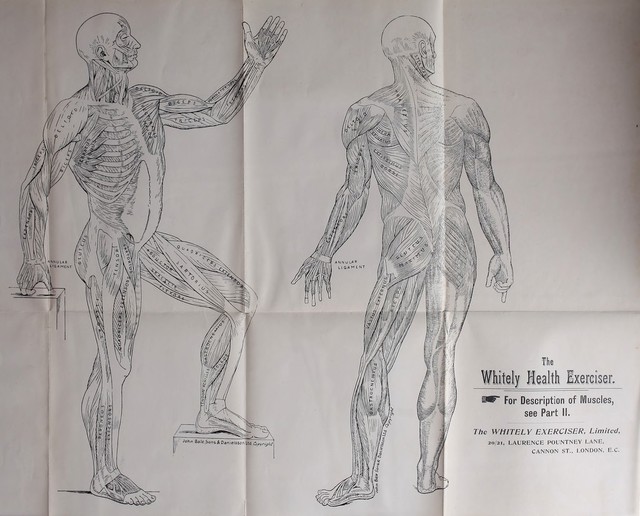 No text description is available for this image