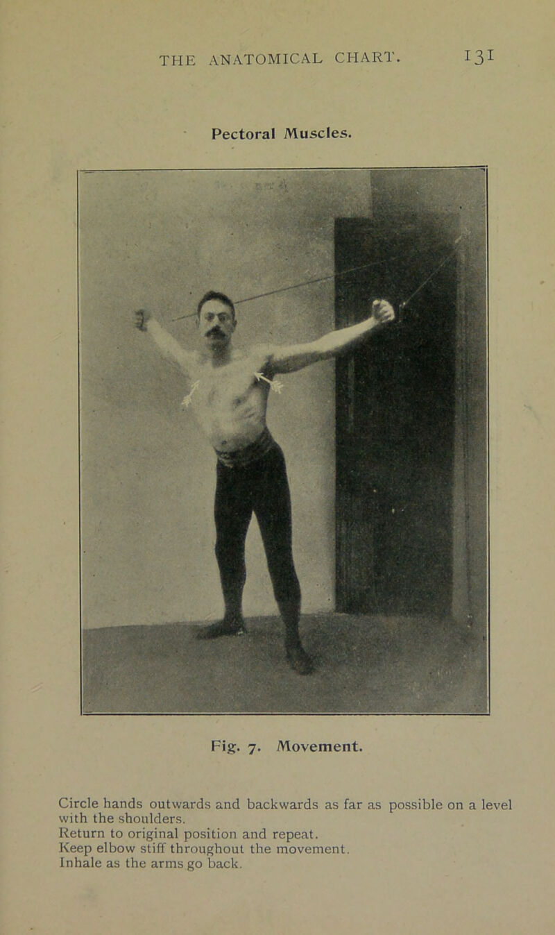 Pectoral Muscles. Fig. 7. Movement. Circle hands outwards and backwards as far as possible on a level with the shoulders. Return to original position and repeat. Keep elbow stiff throughout the movement. Inhale as the arms go back.