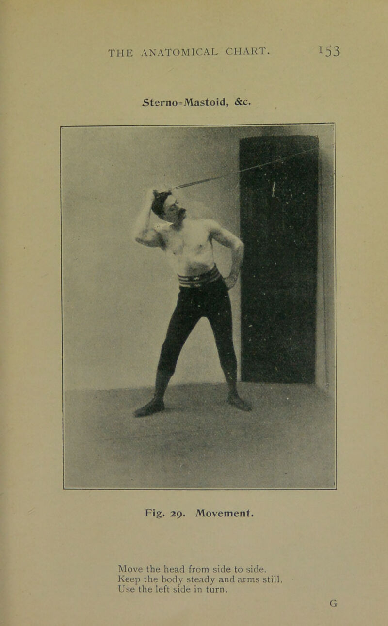 5terno=Mastoid, &c. Fig. 29. Movement. Move the head from side to side. Keep the body steady and arms still. Use the left side in turn. G