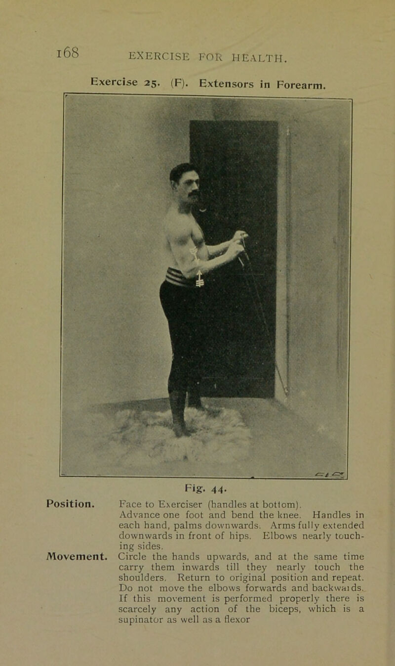 Exercise 25. (F). Extensors in Forearm. 168 Fig. 44. Position. Face to Exerciser (handles at bottom). Advance one foot and bend the knee. Handles in each hand, palms downwards. Arms fully extended downwards in front of hips. Elbows nearly touch- ing sides. Movement. Circle the hands upwards, and at the same time carry them inwards till they nearly touch the shoulders. Return to original position and repeat. Do not move the elbows forwards and backwaids. If this movement is performed properly there is scarcely any action of the biceps, which is a supinator as well as a flexor