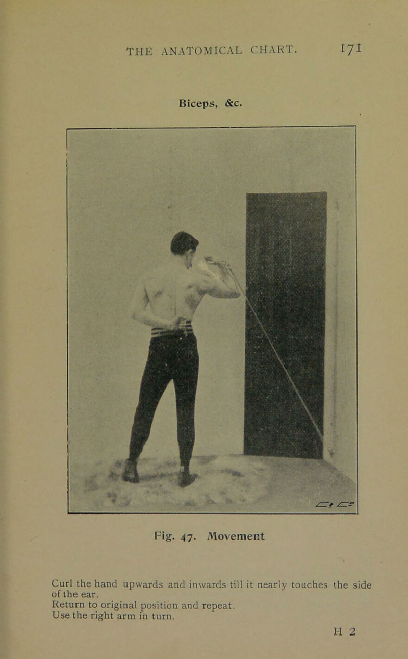 Biceps, &c. Fig. 47. Movement Curl the hand upwards and inwards till it nearly touches the side of the ear. Return to original position and repeat. Use the right arm in turn. H 2