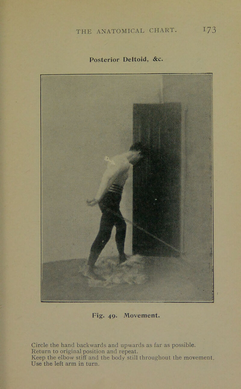 Posterior Deltoid, &c. Fig. 49. Movement. Circle the hand backwards and upwards as far as possible. Return to original position and repeat. Keep the elbow stiff and the body still throughout the movement. Use the left arm in turn.