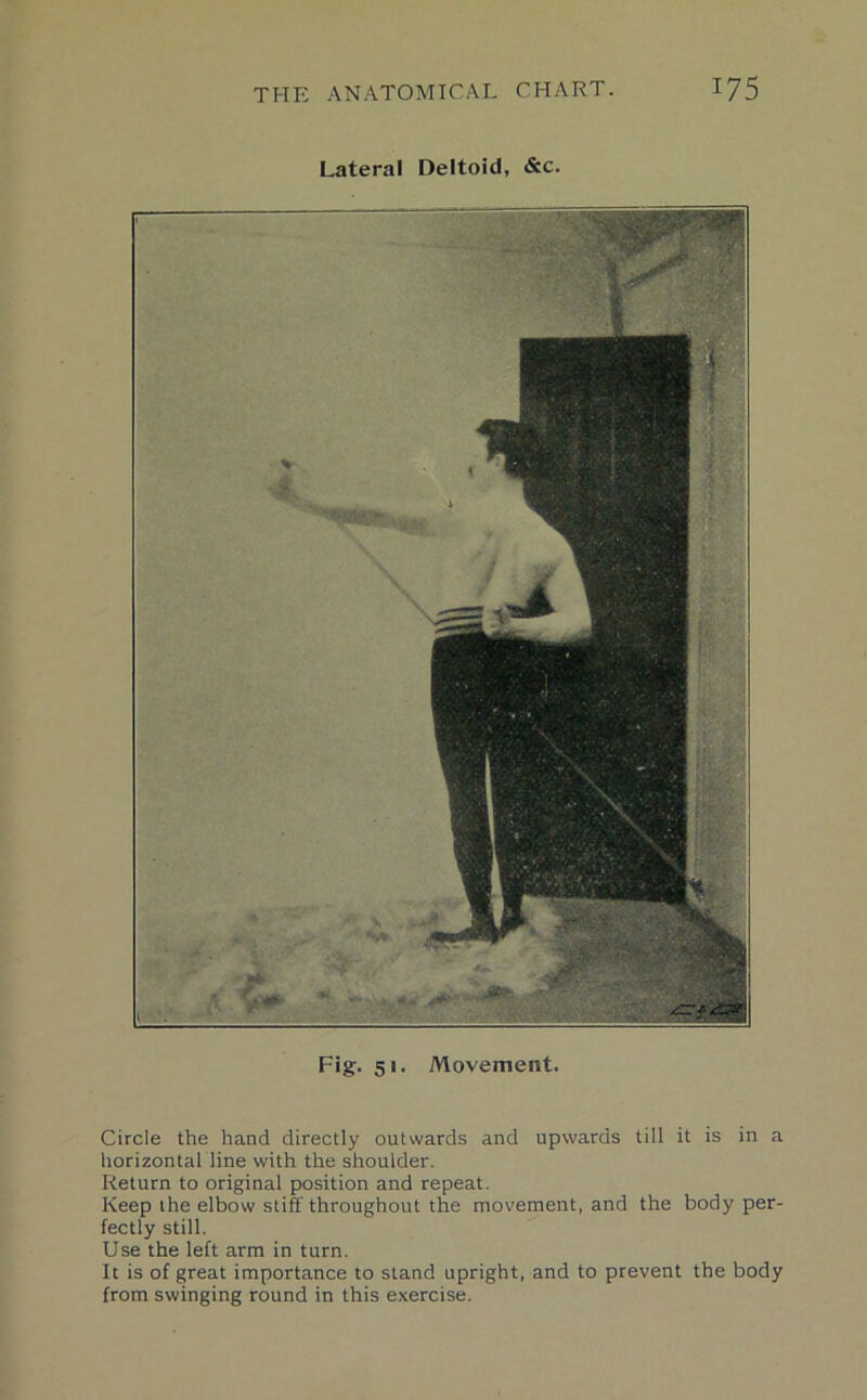 Lateral Deltoid, &c. Fig. 51. Movement. Circle the hand directly outwards and upwards till it is in a horizontal line with the shoulder. Return to original position and repeat. Keep the elbow stiff throughout the movement, and the body per- fectly still. Use the left arm in turn. It is of great importance to stand upright, and to prevent the body from swinging round in this exercise.