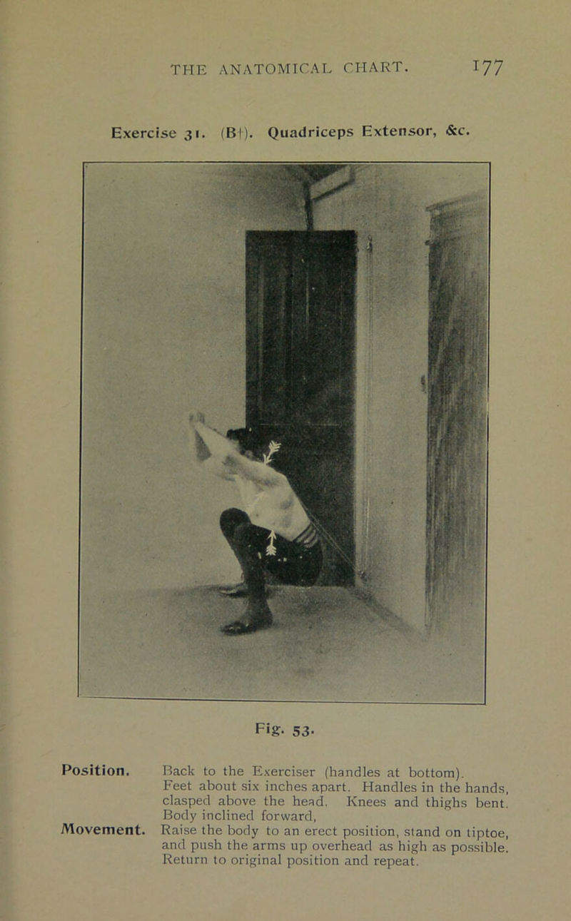 Exercise 31. (Bf). Quadriceps Extensor, &c. Fig- 53- Position. Back to the Exerciser (handles at bottom). Feet about six inches apart. Handles in the hands, clasped above the head. Knees and thighs bent. Body inclined forward, Movement. Raise the body to an erect position, stand on tiptoe, and push the arms up overhead as high as possible. Return to original position and repeat.