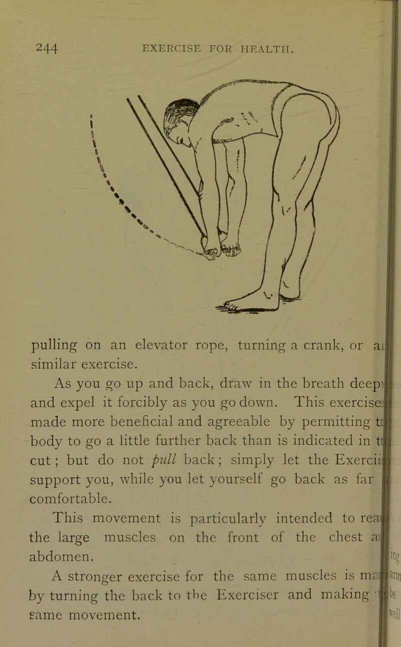 pulling on an elevator rope, turning a crank, or ai similar exercise. As you go up and back, draw in the breath deepij and expel it forcibly as you go down. This exercis made more beneficial and agreeable by permitting body to go a little further back than is indicated in t cut; but do not pull back; simply let the Exercis support you, while you let yourself go back as far comfortable. This movement is particularly intended to rea the large muscles on the front of the chest a^ abdomen. A stronger exercise for the same muscles is ms^ by turning the back to the Exerciser and making ■ same movement. 6 arm Ik m