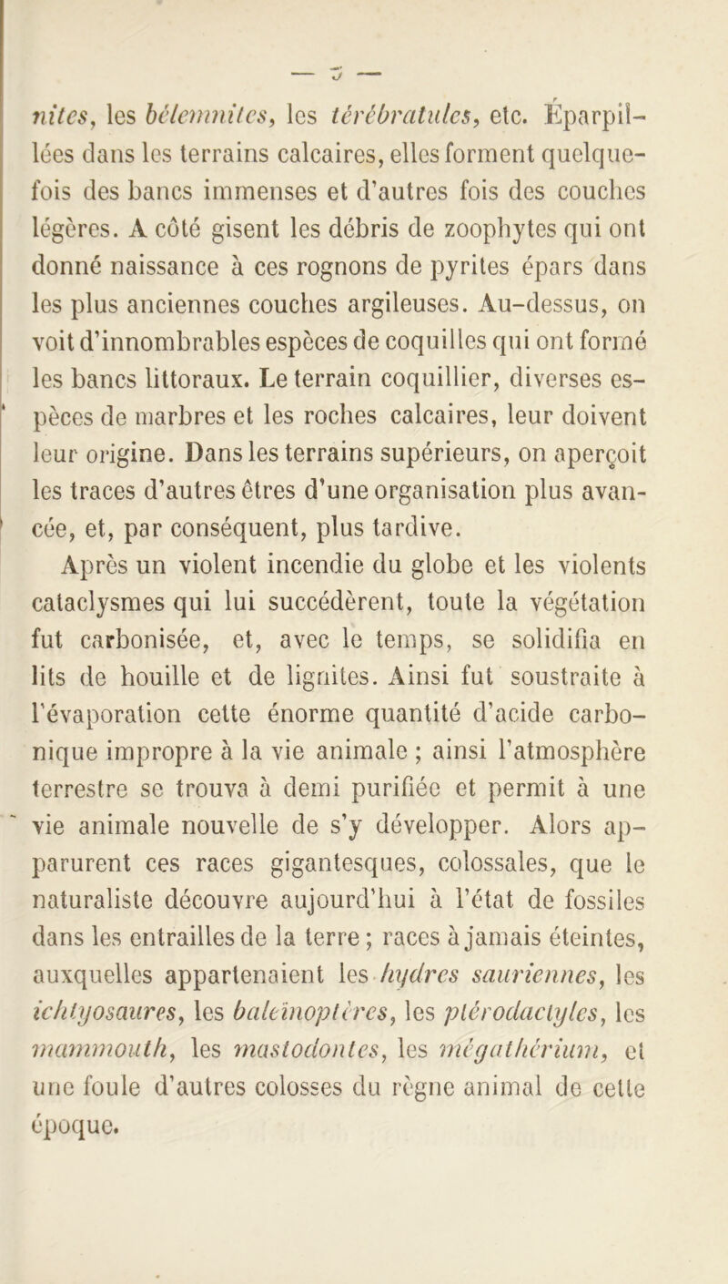 nîtcSy les bclenmücSf les térébratulcs, etc. Eparpil- lées clans les terrains calcaires, elles forment quelque- fois des bancs immenses et d’autres fois des couches légères. A côté gisent les débris de zoophytes qui ont donné naissance à ces rognons de pyrites épars dans les plus anciennes couches argileuses. Au-dessus, on voit d’innombrables espèces de coquilles qui ont formé les bancs littoraux. Le terrain coquillier, diverses es- pèces de marbres et les roches calcaires, leur doivent leur origine. Dans les terrains supérieurs, on aperçoit les traces d’autres êtres d’une organisation plus avan- ^ cée, et, par conséquent, plus tardive. Après un violent incendie du globe et les violents cataclysmes qui lui succédèrent, toute la vcégétation fut carbonisée, et, avec le temps, se solidifia en lits de houille et de ligriites. Ainsi fut soustraite à l’évaporation cette énorme quantité d’acide carbo- nique impropre à la vie animale ; ainsi l’atmosphère terrestre se trouva à demi purifiée et permit à une vie animale nouvelle de s’y développer. Alors ap- parurent ces races gigantesques, colossales, que le naturaliste découvre aujourd’hui à l’état de fossiles dans les entrailles de la terre ; races à jamais éteintes, auxquelles appartenaient les hydres sauriennes^ les ic/iiiiosaures, les baleinoplcres, les plérodaclyics, les mammouth^ les maslodonles, les niêgathêrium, et une foule d’autres colosses du règne animal de celle époque.