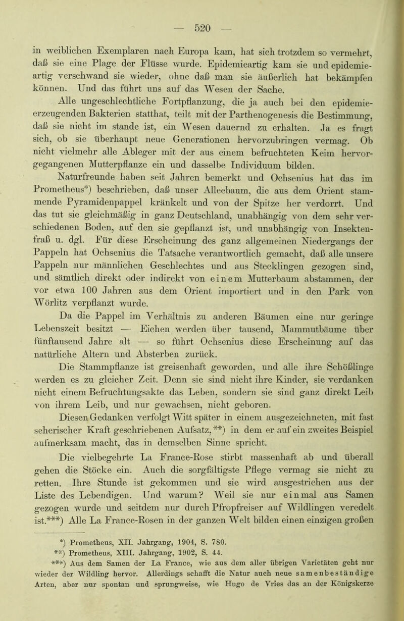 in weiblichen Exemplaren nach Europa kam, hat sich trotzdem so vermehrt, daß sie eine Plage der Flüsse wurde. Epidemieartig kam sie und epidemie- artig verschwand sie wieder, ohne daß man sie äußerlich hat bekämpfen können. Und das führt uns auf das Wesen der Sache. Alle ungeschlechtliche Fortpflanzung, die ja auch bei den epidemie- erzeugenden Bakterien statthat, teilt mit der Parthenogenesis die Bestimmung, daß sie nicht im stände ist, ein Wesen dauernd zu erhalten. Ja es fragt sich, ob sie überhaupt neue Generationen hervorzubringen vermag. Ob nicht vielmehr alle Ableger mit der aus einem befruchteten Keim hervor- gegangenen Mutterpflanze ein und dasselbe Individuum bilden. Naturfreunde haben seit Jahren bemerkt und Ochsenius hat das im Prometheus*) beschrieben, daß unser Alleebaum, die aus dem Orient stam- mende Pyramidenpappel kränkelt und von der Spitze her verdorrt. Und das tut sie gleichmäßig in ganz Deutschland, unabhängig von dem sehr ver- schiedenen Boden, auf den sie gepflanzt ist, und unabhängig von Insekten- fraß u. dgl. Für diese Erscheinung des ganz allgemeinen Niedergangs der Pappeln hat Ochsenius die Tatsache verantwortlich gemacht, daß alle unsere Pappeln nur männlichen Geschlechtes und aus Stecklingen gezogen sind, und sämtlich direkt oder indirekt von einem Mutterbaum abstammen, der vor etwa 100 Jahren aus dem Orient importiert und in den Park von Wörlitz verpflanzt wurde. Da die Pappel im Verhältnis zu anderen Bäumen eine nur geringe Lebenszeit besitzt — Eichen werden über tausend, Mammutbäume über fünftausend Jahre alt — so führt Ochsenius diese Erscheinung auf das natürliche Altern und Absterben zurück. Die Stammpflanze ist greisenhaft geworden, und alle ihre Schößlinge werden es zu gleicher Zeit. Denn sie sind nicht ihre Kinder, sie verdanken nicht einem Befruchtungsakte das Leben, sondern sie sind ganz direkt Leib von ihrem Leib, und nur gewachsen, nicht geboren. Diesen Gedanken verfolgt Witt später in einem ausgezeichneten, mit fast seherischer Kraft geschriebenen Aufsatz, **) in dem er auf ein zweites Beispiel aufmerksam macht, das in demselben Sinne spricht. Die vielbegehrte La France-Bose stirbt massenhaft ab und überall gehen die Stöcke ein. Auch die sorgfältigste Pflege vermag sie nicht zu retten. Ihre Stunde ist gekommen und sie wird ausgestrichen aus der Liste des Lebendigen. Und warum? Weil sie nur einmal aus Samen gezogen wurde und seitdem nur durch Pfropfreiser auf Wildlingen veredelt ist.***) Alle La France-Bosen in der ganzen Welt bilden einen einzigen großen *) Prometheus, XII. Jahrgang, 1904, S. 780. **) Prometheus, XIII. Jahrgang, 1902, S. 44. ***) Aus dem Samen der La France, wie aus dem aller übrigen Varietäten geht nur wieder der Wildling hervor. Allerdings schafft die Natur auch neue samenbeständige Arten, aber nur spontan und sprungweise, wie Hugo de Vries das an der Königskerze