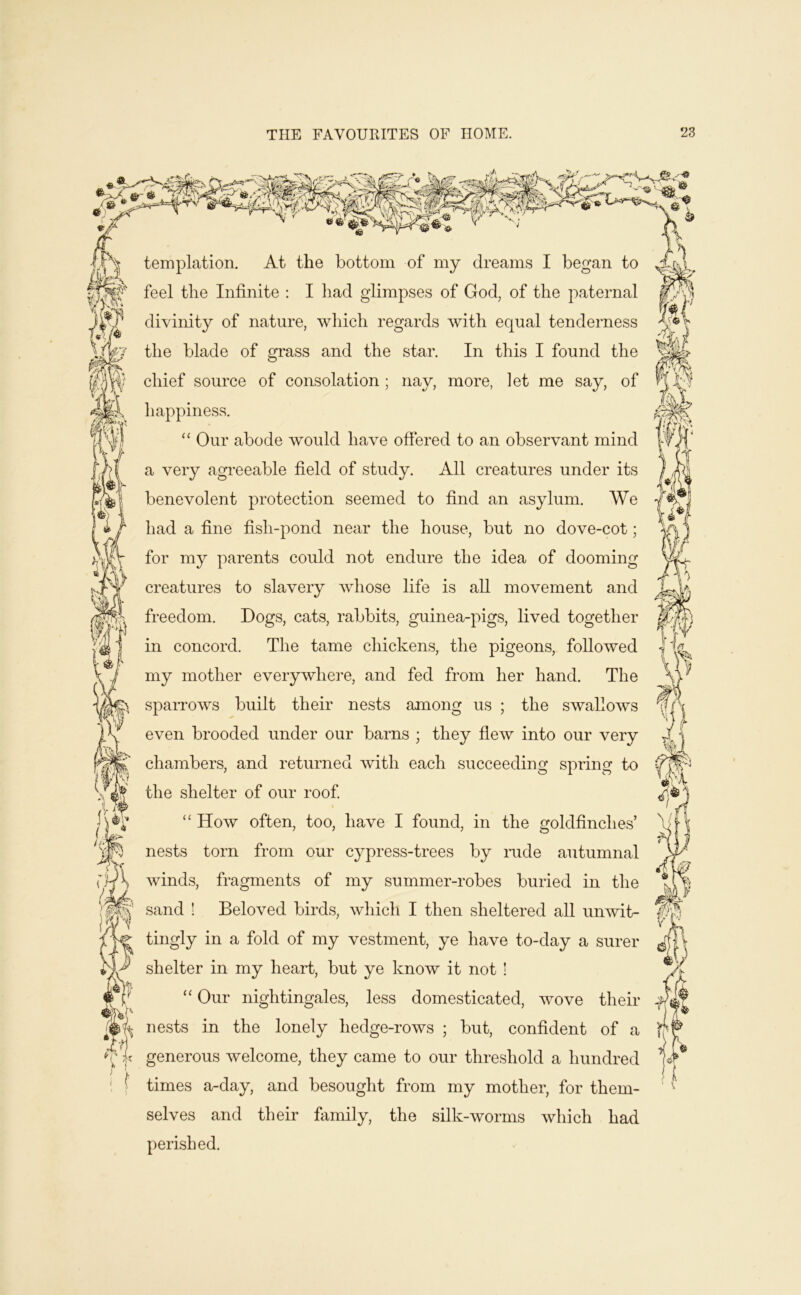 'I iJ I templation. At the bottom of my dreams I began to feel the Infinite : I had glimpses of God, of the paternal divinity of nature, which regards with equal tenderness the blade of grass and the star. In this I found the chief source of consolation ; nay, more, let me say, of happiness. ‘‘ Our abode would have offered to an observant mind a very agreeable field of study. All creatures under its benevolent protection seemed to find an asylum. We had a fine fish-pond near the house, but no dove-cot; for my parents could not endure the idea of dooming creatures to slavery whose life is all movement and freedom. Dogs, cats, rabbits, guinea-pigs, lived together in concord. The tame chickens, the pigeons, followed my mother everywhere, and fed from her hand. The sparrows built their nests among us ; the swallows even brooded under our barns ; they flew into our very chambers, and returned with each succeeding spring to the shelter of our roof ‘‘ How often, too, have I found, in the goldfinches’ nests torn from our cypress-trees by mde autumnal winds, fragments of my summer-robes buried in the sand ! Beloved birds, which I then sheltered all unwit- tingly in a fold of my vestment, ye have to-day a surer shelter in my heart, but ye know it not ! “ Our nightingales, less domesticated, wove their nests in the lonely hedge-rows ; but, confident of a generous welcome, they came to our threshold a hundred times a-day, and besought from my mother, for them- selves and their family, the silk-worms which had perished.