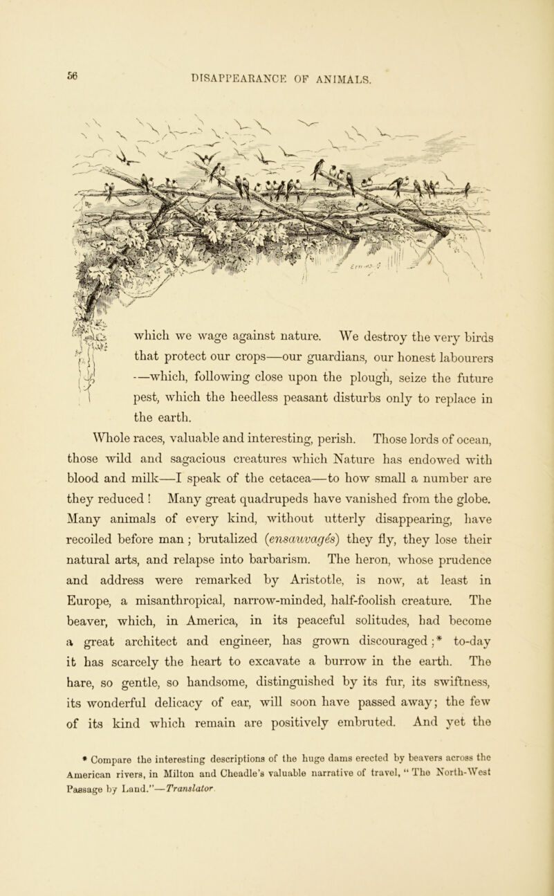 DISAPPEAIIANCE OF ANIMALS. which we wage against nature. We destroy the very birds that protect our crops—our guardians, our honest labourers —which, following close upon the plough, seize the future pest, which the heedless peasant disturbs only to replace in the earth. \Vliole races, valuable and interesting, perish. Those lords of ocean, those wild and sagacious creatures which Nature has endowed with blood and milk—I speak of the cetacea—to how small a number are they reduced ! Many great quadrupeds have vanished from the globe. Many animals of every kind, without utterly disappearing, have recoiled before man; brutalized (ensauvag^s) they fly, they lose their natural arts, and relapse into barbarism. The heron, whose prudence and address were remarked by Aristotle, is now, at least in Europe, a misanthropical, narrow-minded, half-foolish creature. The beaver, which, in America, in its peaceful solitudes, had become a great architect and engineer, has grown discouraged;* to-day it has scarcely the heart to excavate a burrow in the earth. The hare, so gentle, so handsome, distinguished by its fur, its swiftness, its wonderful delicacy of ear, will soon have passed away; the few of its kind which remain are positively embruted. And yet the ♦ Compare the interesting descriptions of the huge dams erected by heavers across the American rivers, in Milton and Cheadle’s valuable narrative of travel, “ The North-West Pa.08age by Land.”—Translator