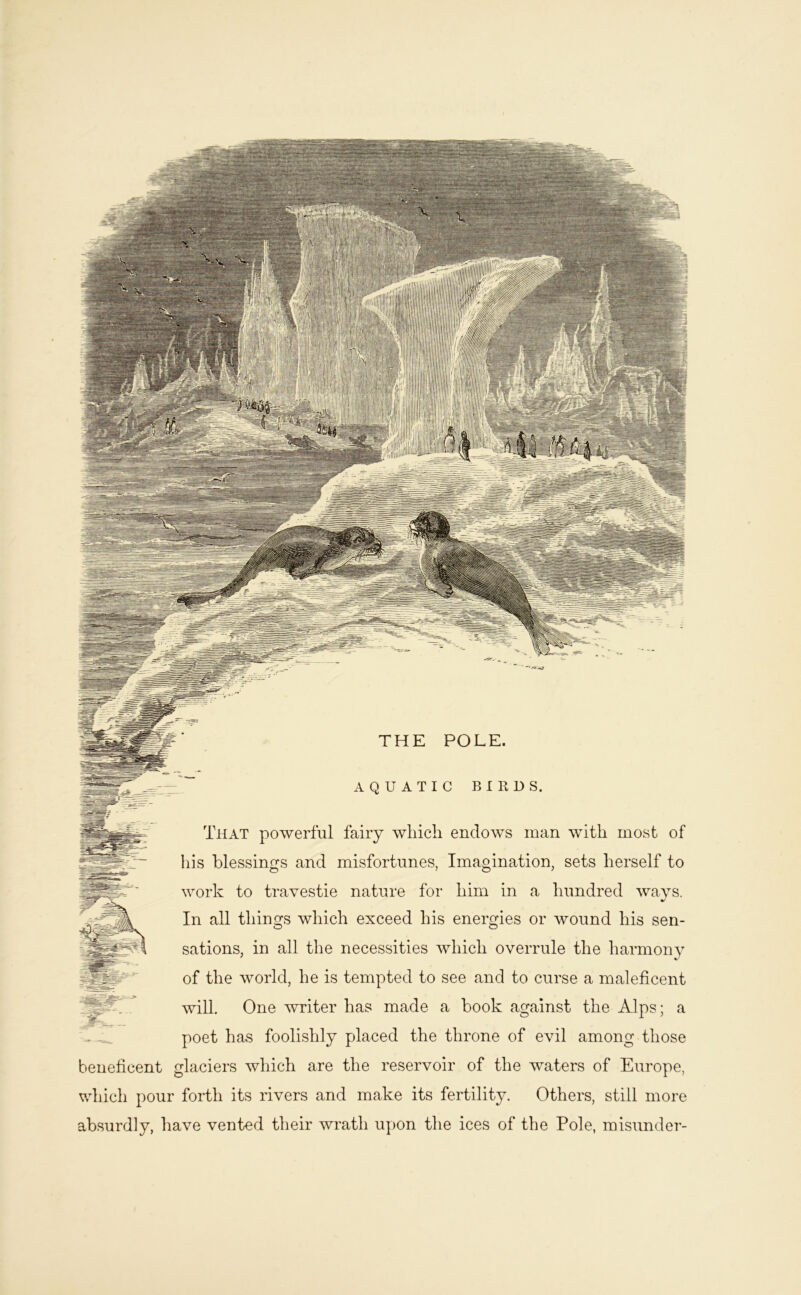THE POLE. AQUATIC BIRDS. That powerful fairy wliicli endows man with most of his blessings and misfortunes, Imagination, sets herself to work to travestie nature for him in a hundred ways. In all things which exceed his energies or wound his sen- sations, in all the necessities which overrule the harmony of the world, he is tempted to see and to curse a maleficent will. One writer has made a book against the Alps; a poet has foolishly placed the throne of evil among those beneficent glaciers which are the reservoir of the waters of Europe, which pour forth its rivers and make its fertility. Others, still more absurdly, have vented their wrath upon the ices of the Pole, misunder-