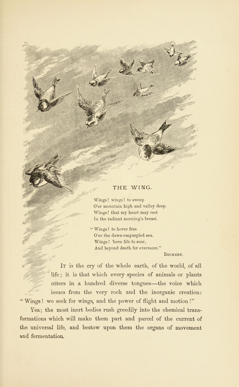 ,, Wings! wings! to sweep O’er mountain high and valley deep. Wings! that my heart may rest In the radiant morning’s breast. “ Wings ! to hover free O’er the dawn-empurpled sea. Wings ! ’hove life to soar, And beyond death for evermore.” Ruckert. cry of the tv hole eai-th, of the world, of all life; it is that wliich every species of animals or plants utters in a hundred diverse tongues—the voice which issues from the very rock and the inorganic creation: Wings ! we seek for wings, and the power of flight and motion !” Yea; the most inert bodies rush greedily into the chemical trans- formations which will make them part and parcel of the current of the universal life, and bestow upon them the organs of movement and fermentation. It is the
