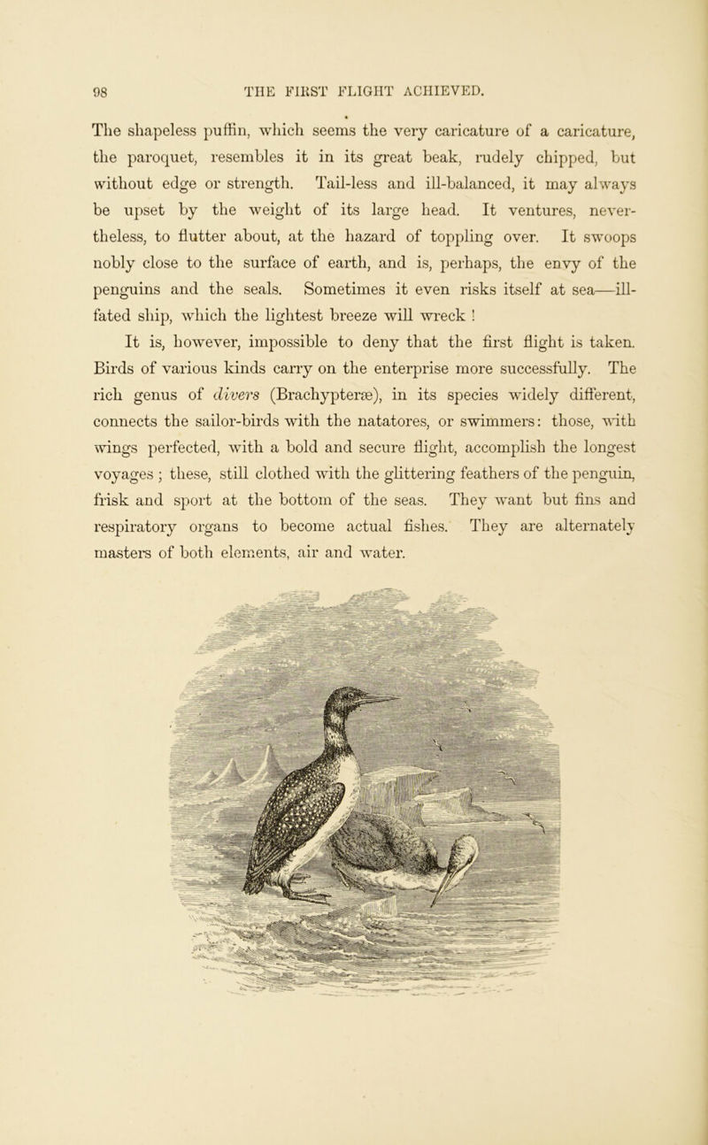 The shapeless puffin, which seems the very caricature of a caricature, the paroquet, resembles it in its great beak, rudely chipped, but without edge or strength. Tail-less and ill-balanced, it may always be upset by the weight of its large head. It ventures, never- theless, to flutter about, at the hazard of toppling over. It swoops nobly close to the surface of earth, and is, perhaps, the envy of the penguins and the seals. Sometimes it even risks itself at sea—ill- fated ship, which the lightest breeze will wreck ! It is, however, impossible to deny that the first flight is taken. Birds of various kinds carry on the enterprise more successfully. The rich genus of divers (Brachypterse), in its species wfldely different, connects the sailor-birds with the natatores, or swimmers: those, vflth ■^vings perfected, with a bold and secure flight, accomplish the longest voyages ; these, still clothed with the glittering feathers of the penguin, frisk and sport at the bottom of the seas. They want but fins and respiratory organs to become actual fishes. They are alternately masters of both elements, air and water.