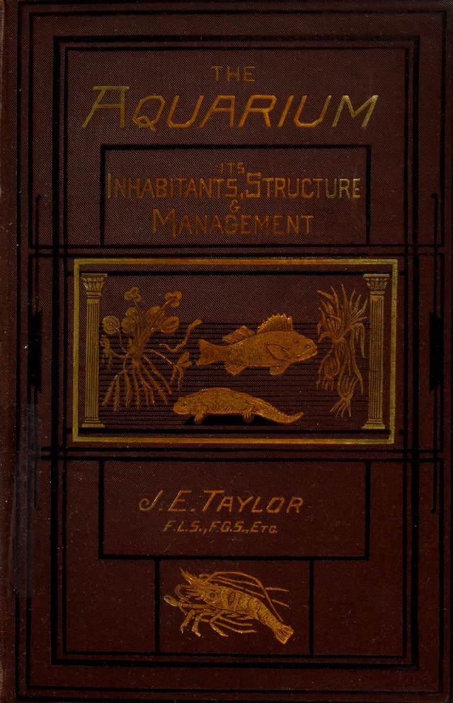 No text description is available for this image