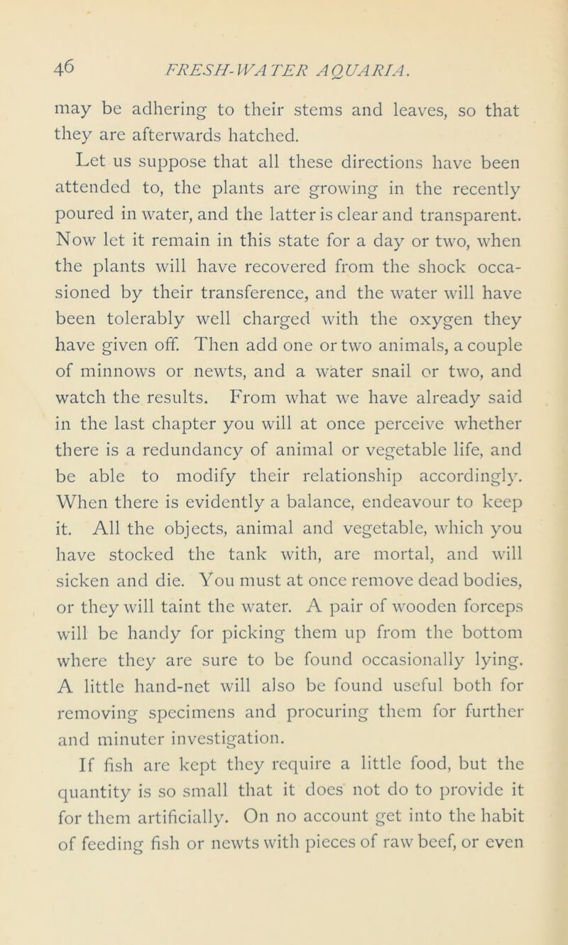 may be adhering to their stems and leaves, so that they are afterwards hatched. Let us suppose that all these directions have been attended to, the plants are growing in the recently poured in water, and the latter is clear and transparent. Now let it remain in this state for a day or two, when the plants will have recovered from the shock occa- sioned by their transference, and the water will have been tolerably well charged with the oxygen they have given off. Then add one or two animals, a couple of minnows or newts, and a water snail or two, and watch the results. From what we have already said in the last chapter you will at once perceive whether there is a redundancy of animal or vegetable life, and be able to modify their relationship accordingly. When there is evidently a balance, endeavour to keep it. All the objects, animal and vegetable, which you have stocked the tank with, are mortal, and will sicken and die. You must at once remove dead bodies, or they will taint the water. A pair of wooden forceps will be handy for picking them up from the bottom where they are sure to be found occasionally lying. A little hand-net will also be found useful both for removing specimens and procuring them for further and minuter investigation. If fish are kept they require a little food, but the quantity is so small that it does not do to provide it for them artificially. On no account get into the habit of feeding fish or newts with pieces of raw beef, or even