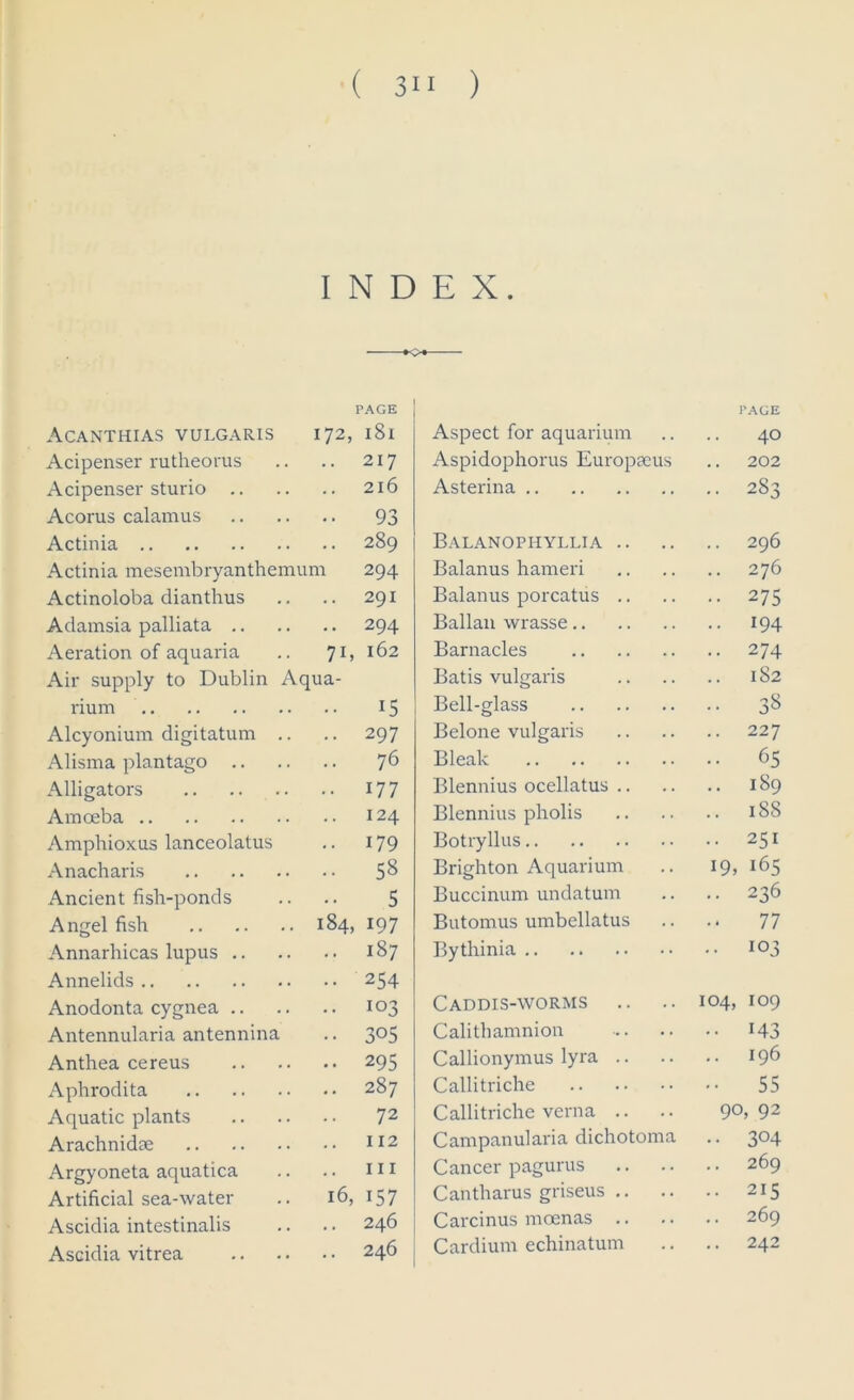 ( 3i i ) INDEX. PAGE Acanthias vulgaris 172, 181 Acipenser rutheorus .. .. 217 Acipenser sturio 216 Acorus calamus 93 Actinia 289 Actinia mesembryanthemum 294 Actinoloba dianthus .. .. 291 Adamsia palliata 294 Aeration of aquaria .. 71, 162 Air supply to Dublin Aqua- rium 15 Alcyonium digitatum .. .. 297 Alisma plantago 76 Alligators 17 7 Amoeba 124 Amphioxus lanceolatus .. 179 Anacharis 5$ Ancient fish-ponds .. .. 5 Angel fish 184, 197 Annarhicas lupus 187 Annelids 254 Anodonta cygnea 103 Antennularia antennina .. 305 Anthea cereus 295 Aphrodita 287 Aquatic plants 72 Arachnidce 112 Argyoneta aquatica .. .. 111 Artificial sea-water .. 16, 157 Ascidia intestinalis .. .. 246 Ascidia vitrea 246 Aspect for aquarium PAGE 40 Aspidophorus Europaeus .. 202 Asterina .. 283 Balanopi-iyllia .. .. 296 Balanus hameri 276 Balanus porcatus .. • • 275 Ballan wrasse.. • • 194 Barnacles .. 274 Batis vulgaris 182 Bell-glass • • 38 Belone vulgaris 227 Bleak .. 65 Blennius ocellatus .. 189 Blennius pholis .. 188 Botryllus • • 251 Brighton Aquarium 19, 165 Buccinum undatum .. 236 Butomus umbellatus 77 Bythinia .. 103 Caddis-worms 104, 109 Calithamnion •• i43 Callionymus lyra .. 196 Callitriche •• 55 Callitriche verna .. 9°, 92 Campanularia dichotoma • • 3°4 Cancer pagurus 269 Cantharus griseus .. .. 215 Carcinus moenas .. 269 Cardium echinatum 242