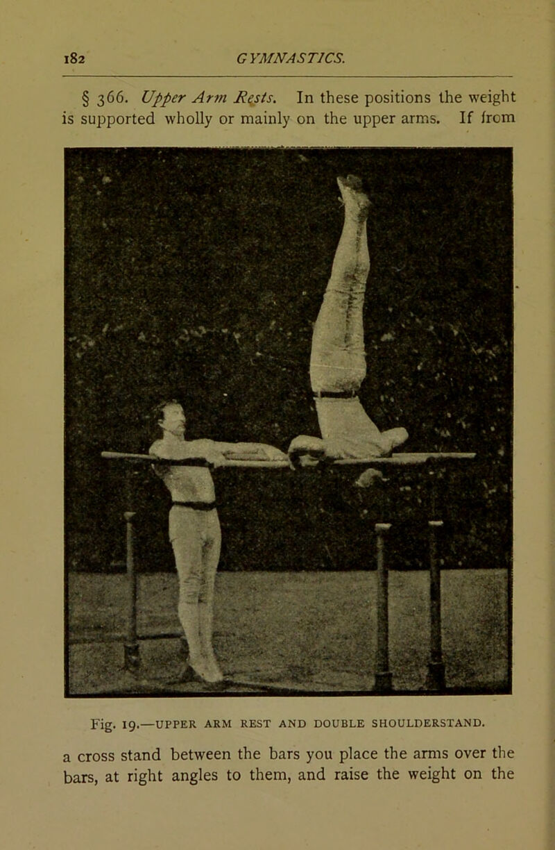 § 366. Upper Arm R^sis. In these positions the weight is supported wholly or mainly on the upper arms. If from Fig. 19.—UPPER ARM REST AND DOUBLE SHOULDERSTAND. a cross stand between the bars you place the arms over the bars, at right angles to them, and raise the weight on the