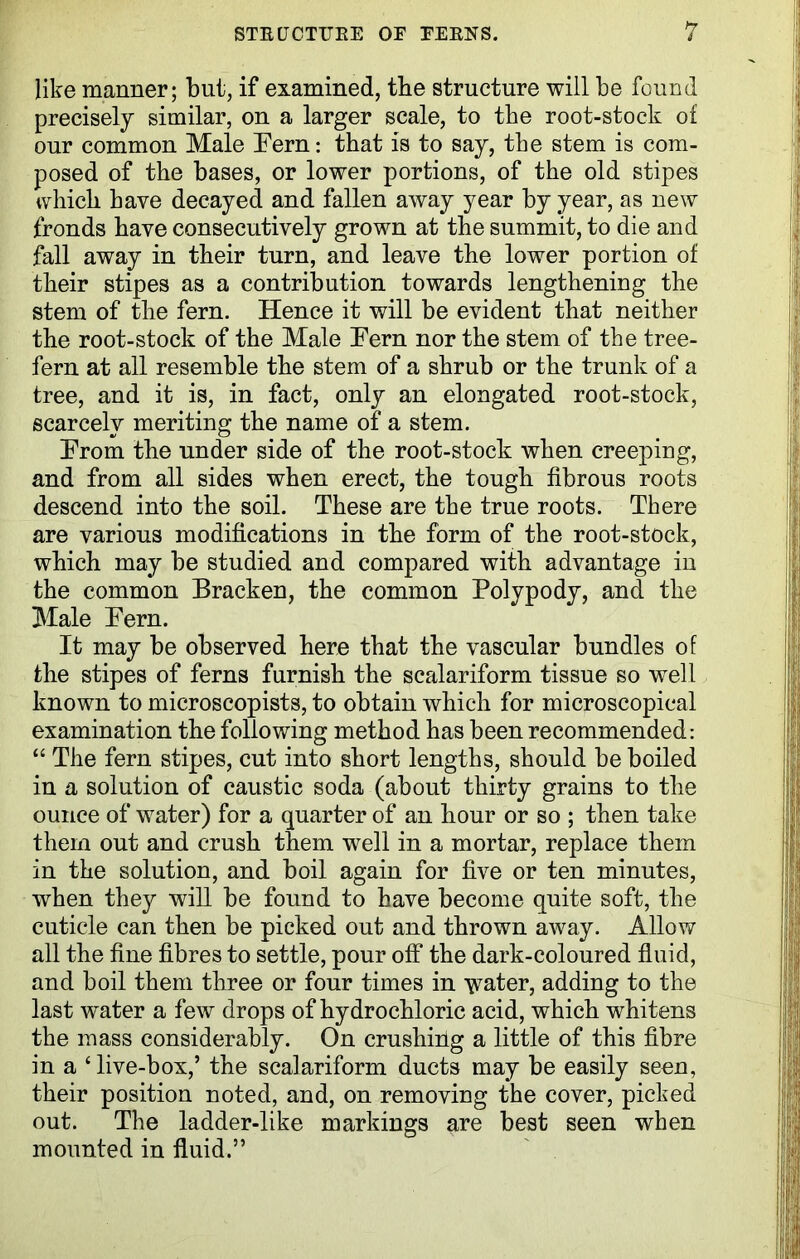 like manner; but, if examined, tbe structure will be found precisely similar, on a larger scale, to tbe root-stock of our common Male Tern: that is to say, tbe stem is com- posed of tbe bases, or lower portions, of tbe old stipes which have decayed and fallen away year by year, as new fronds have consecutively grown at the summit, to die and fall away in their turn, and leave tbe lower portion of their stipes as a contribution towards lengthening the stem of the fern. Hence it will be evident that neither the root-stock of the Male Tern nor the stem of the tree- fern at all resemble the stem of a shrub or the trunk of a tree, and it is, in fact, only an elongated root-stock, scarcely meriting the name of a stem. From the under side of the root-stock when creeping, and from all sides when erect, the tough fibrous roots descend into the soil. These are the true roots. There are various modifications in the form of the root-stock, which may be studied and compared with advantage in the common Bracken, the common Polypody, and the Male Pern. It may be observed here that the vascular bundles of the stipes of ferns furnish the scalariform tissue so well known to microscopists, to obtain which for microscopical examination the following method has been recommended: “ The fern stipes, cut into short lengths, should be boiled in a solution of caustic soda (about thirty grains to the ounce of water) for a quarter of an hour or so ; then take them out and crush them well in a mortar, replace them in the solution, and boil again for five or ten minutes, when they will be found to have become quite soft, the cuticle can then be picked out and thrown away. Allow all the fine fibres to settle, pour off the dark-coloured fluid, and boil them three or four times in 'water, adding to the last water a few drops of hydrochloric acid, which whitens the mass considerably. On crushing a little of this fibre in a ‘live-box,’ the scalariform ducts may be easily seen, their position noted, and, on removing the cover, picked out. The ladder-like markings are best seen when mounted in fluid.”