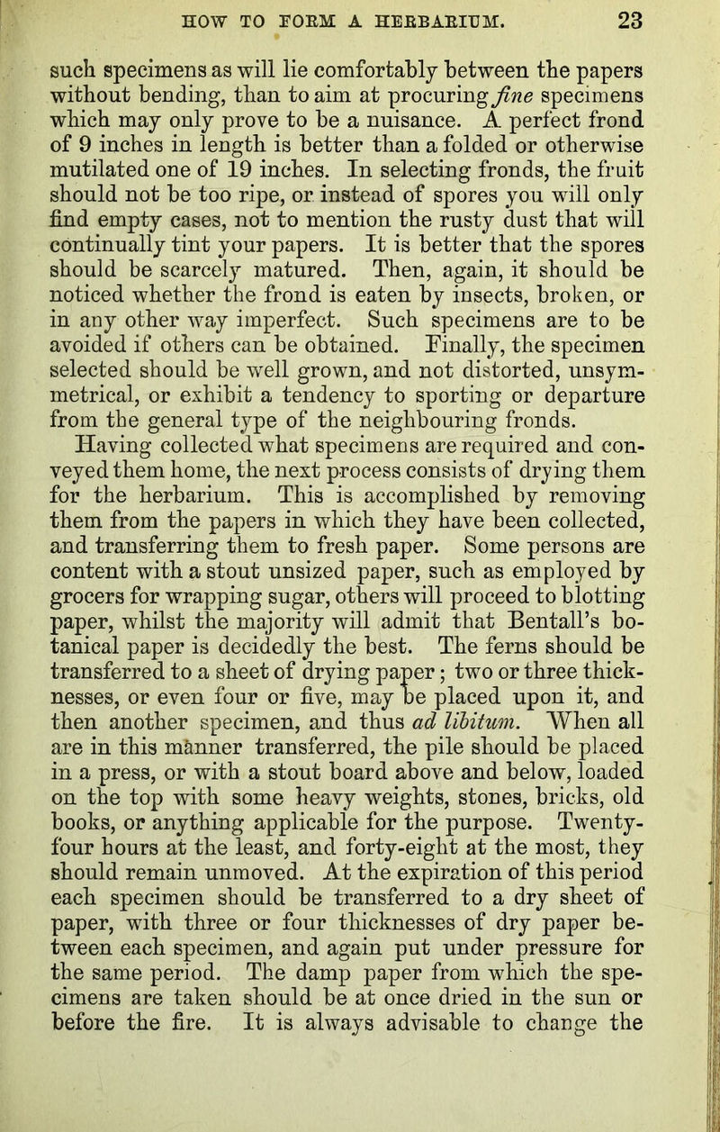 such specimens as will lie comfortably between the papers without bending, than to aim at procuring fine specimens which may only prove to be a nuisance. A perfect frond of 9 inches in length is better than a folded or otherwise mutilated one of 19 inches. In selecting fronds, the fruit should not be too ripe, or instead of spores you will only find empty cases, not to mention the rusty dust that will continually tint your papers. It is better that the spores should be scarcely matured. Then, again, it should be noticed whether the frond is eaten by insects, broken, or in any other way imperfect. Such specimens are to be avoided if others can be obtained. Finally, the specimen selected should be well grown, and not distorted, unsym- metrical, or exhibit a tendency to sporting or departure from the general type of the neighbouring fronds. Having collected what specimens are required and con- veyed them home, the next process consists of drying them for the herbarium. This is accomplished by removing them from the papers in which they have been collected, and transferring them to fresh paper. Some persons are content with a stout unsized paper, such as employed by grocers for wrapping sugar, others will proceed to blotting paper, whilst the majority will admit that Bentall’s bo- tanical paper is decidedly the best. The ferns should be transferred to a sheet of drying paper; two or three thick- nesses, or even four or five, may be placed upon it, and then another specimen, and thus ad libitum. When all are in this manner transferred, the pile should be placed in a press, or with a stout board above and below, loaded on the top with some heavy weights, stones, bricks, old books, or anything applicable for the purpose. Twenty- four hours at the least, and forty-eight at the most, they should remain unmoved. At the expiration of this period each specimen should be transferred to a dry sheet of paper, with three or four thicknesses of dry paper be- tween each specimen, and again put under pressure for the same period. The damp paper from which the spe- cimens are taken should be at once dried in the sun or before the fire. It is always advisable to change the