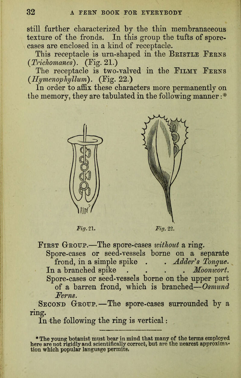 still farther characterized by the thin membranaceous texture of the fronds. In this group the tufts of spore- cases are enclosed in a kind of receptacle. This receptacle is urn-shaped in the Beistle Teens (Trichomanes). (Tig. 21.) The receptacle is two-valved in the Tilmy Teens (_Hymenophyllum). (Tig. 22.) In order to affix these characters more permanently on the memory, they are tabulated in the following manner Fig. 21. Fig. 22. Tiest G-eottp.—The spore-cases without a ring. Spore-cases or seed-vessels borne on a separate frond, in a simple spike . . Adder's Tongue. In a branched spike .... Moonwort. Spore-cases or seed-vessels borne on the upper part of a barren frond, which is branched—Osmund Ferns. Second G-eottp.—The spore-cases surrounded by a ring. In the following the ring is vertical: * The young botanist must bear in mind that many of the terms employed here are not rigidly and scientifically correct, but are the nearest approxima-1 tion which popular language permits.