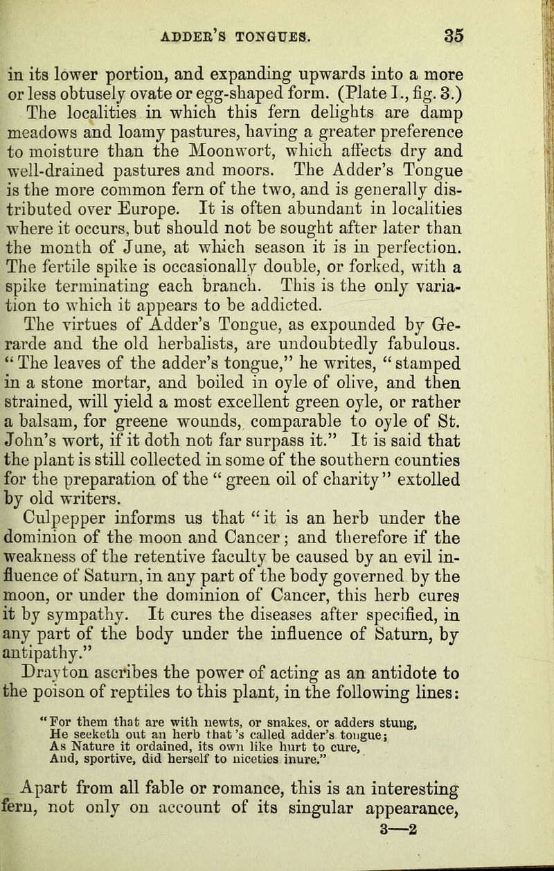 in its lower portion, and expanding upwards into a more or less obtusely ovate or egg-shaped form. (Plate I., fig. 3.) The localities in which this fern delights are damp meadows and loamy pastures, having a greater preference to moisture than the Moonwort, which affects dry and well-drained pastures and moors. The Adder’s Tongue is the more common fern of the two, and is generally dis- tributed over Europe. It is often abundant in localities where it occurs, but should not be sought after later than the month of June, at which season it is in perfection. The fertile spike is occasionally double, or forked, with a spike terminating each branch. This is the only varia- tion to which it appears to be addicted. The virtues of Adder’s Tongue, as expounded bjr Ge- rarde and the old herbalists, are undoubtedly fabulous. “ The leaves of the adder’s tongue,” he writes, “ stamped in a stone mortar, and boiled in oyle of olive, and then strained, will yield a most excellent green oyle, or rather a balsam, for greene wounds, comparable to oyle of St. John’s wort, if it doth not far surpass it.” It is said that the plant is still collected in some of the southern counties for the preparation of the “ green oil of charity” extolled by old writers. Culpepper informs us that “ it is an herb under the dominion of the moon and Cancer; and therefore if the weakness of the retentive faculty be caused by an evil in- fluence of Saturn, in any part of the body governed by the moon, or under the dominion of Cancer, this herb cures it by sympathy. It cures the diseases after specified, in any part of the body under the influence of Saturn, by antipathy.” Drayton ascribes the power of acting as an antidote to the poison of reptiles to this plant, in the following lines: “For them that are with newts, or snakes, or adders stung, He seeketh out an herb that’s called adder’s tongue; As Nature it ordained, its own like hurt to cure. And, sportive, did herself to niceties inure.” Apart from all fable or romance, this is an interesting fern, not only on account of its singular appearance.