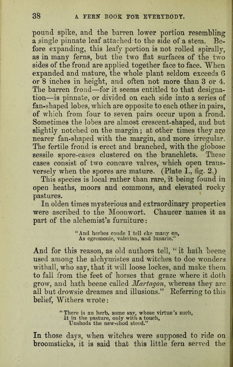 pound spike, and the barren lower portion resembling a single pinnate leaf attached-to the side of a stem. Be- fore expanding, this leafy portion is not rolled spirally, as in many ferns, but the two flat surfaces of the two sides of the frond are applied together face to face. When expanded and mature, the whole plant seldom exceeds 6 or 8 inches in height, and often not more than 3 or 4. The barren frond—for it seems entitled to that designa- tion—is pinnate, or divided on each side into a series of fan-shaped lobes, which are opposite to each other in pairs, of which from four to seven pairs occur upon a frond. Sometimes the lobes are almost crescent-shaped, and but slightly notched on the margin; at other times they are nearer fan-shaped with the margin, and more irregular. The fertile frond is erect and branched, with the globose sessile spore-cases clustered on the branchlets. These cases consist of two concave valves, which open trans- versely when the spores are mature. (Plate I., fig. 2.) This species is local rather than rare, it being found in open heaths, moors and commons, and elevated rocky pastures. In olden times mysterious and extraordinary properties were ascribed to the Moon-wort. Chaucer names it as part of the alchemist’s furniture: “And herbes coude I tell eke many on. As egremonie, valerian, and lunarie.” And for this reason, as old authors tell, “ it hath beene used among the alchymistes and witches to doe wonders withall, who say, that it will loose lockes, and make them to fall from the feet of horses that graze where it doth grow, and hath beene called Mart agon, whereas they are , all but drowsie dreames and illusions.” Referring to this belief, Withers wrote: “ There is an herb, some say, whose virtue *s such, It in tire pasture, only with a touch, Unshods the new-shod steed.” In those days, when witches were supposed to ride on broomsticks, it is said that this little fern served the