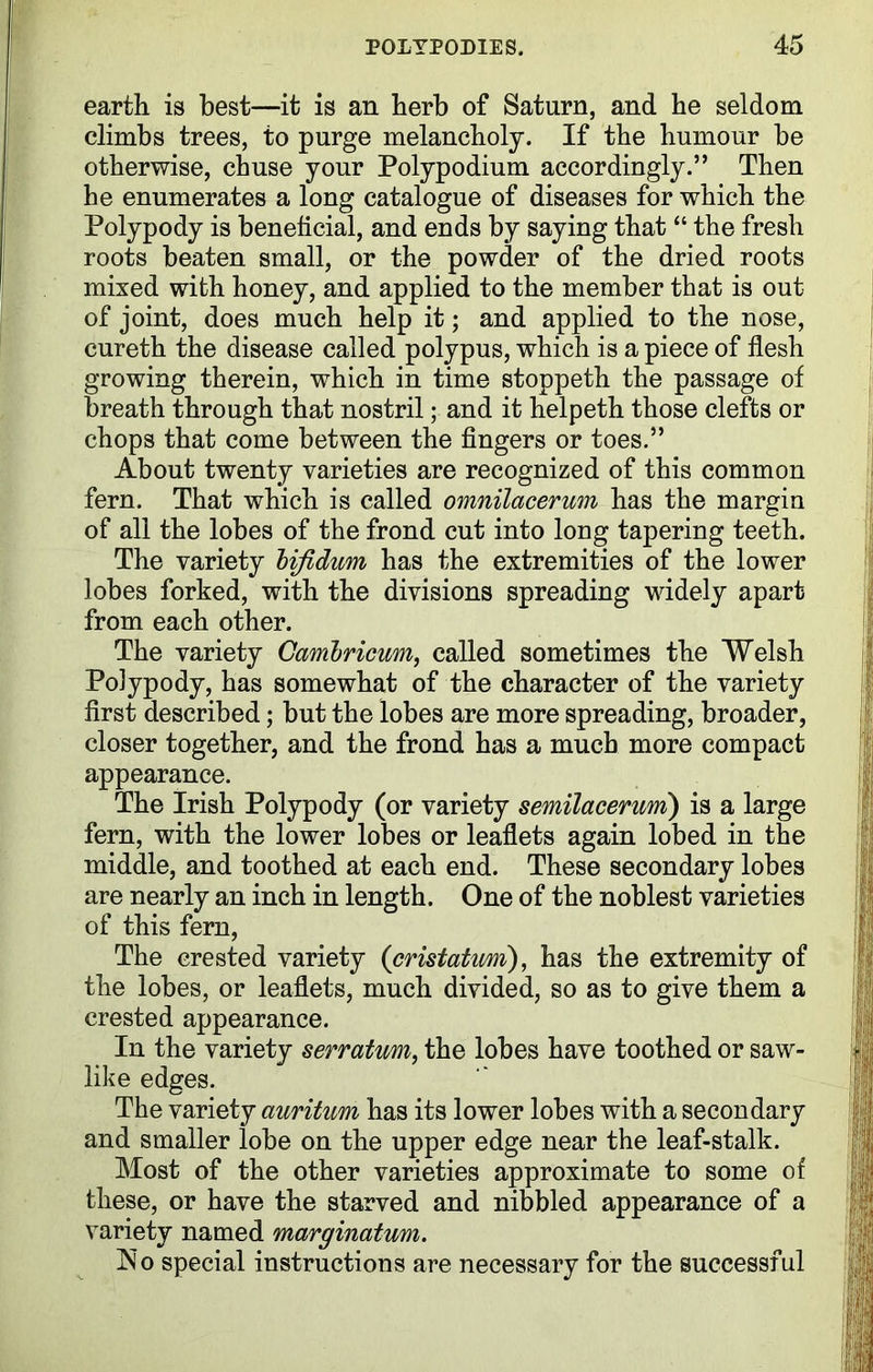 earth is best—it is an herb of Saturn, and he seldom climbs trees, to purge melancholy. If the humour be otherwise, chuse your Polypodium accordingly.” Then he enumerates a long catalogue of diseases for which the Polypody is beneficial, and ends by saying that “ the fresh roots beaten small, or the powder of the dried roots mixed with honey, and applied to the member that is out of joint, does much help it; and applied to the nose, cureth the disease called polypus, which is a piece of flesh growing therein, which in time stoppeth the passage of breath through that nostril; and it helpeth those clefts or chops that come between the fingers or toes.” About twenty varieties are recognized of this common fern. That which is called omnilacerum has the margin of all the lobes of the frond cut into long tapering teeth. The variety lijidum has the extremities of the lower lobes forked, with the divisions spreading widely apart from each other. The variety Cambricwn, called sometimes the Welsh Polypody, has somewhat of the character of the variety first described; but the lobes are more spreading, broader, closer together, and the frond has a much more compact appearance. The Irish Polypody (or variety semilacerum) is a large fern, with the lower lobes or leaflets again lobed in the middle, and toothed at each end. These secondary lobes are nearly an inch in length. One of the noblest varieties of this fern, The crested variety (eristatim), has the extremity of the lobes, or leaflets, much divided, so as to give them a crested appearance. In the variety serratum, the lobes have toothed or saw- like edges. The variety auritum has its lower lobes with a secondary and smaller lobe on the upper edge near the leaf-stalk. Most of the other varieties approximate to some of these, or have the starved and nibbled appearance of a variety named marginatum. No special instructions are necessary for the successful